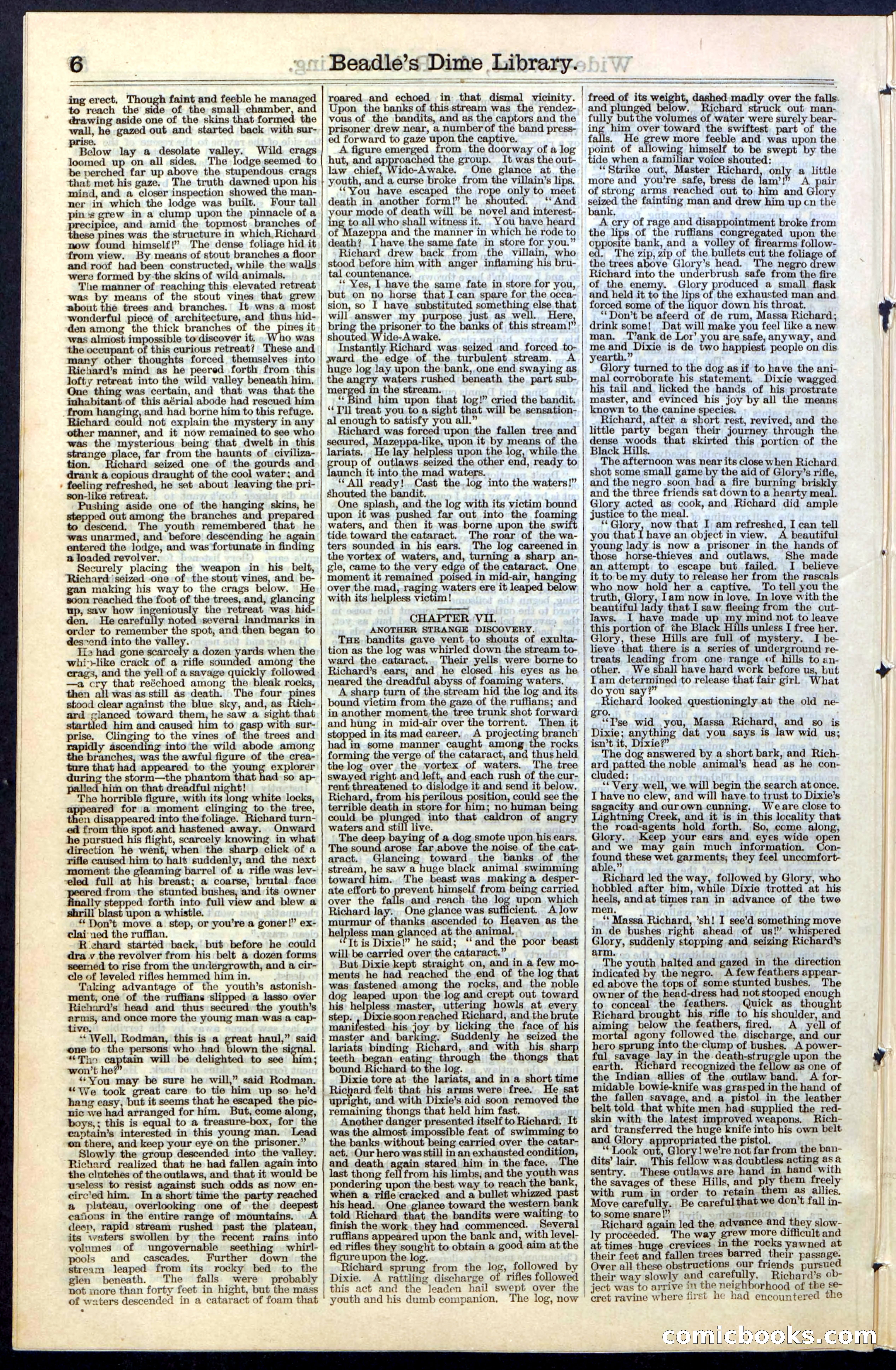 Beadle's New York Dime Library, No. 60 — page 6 of 24