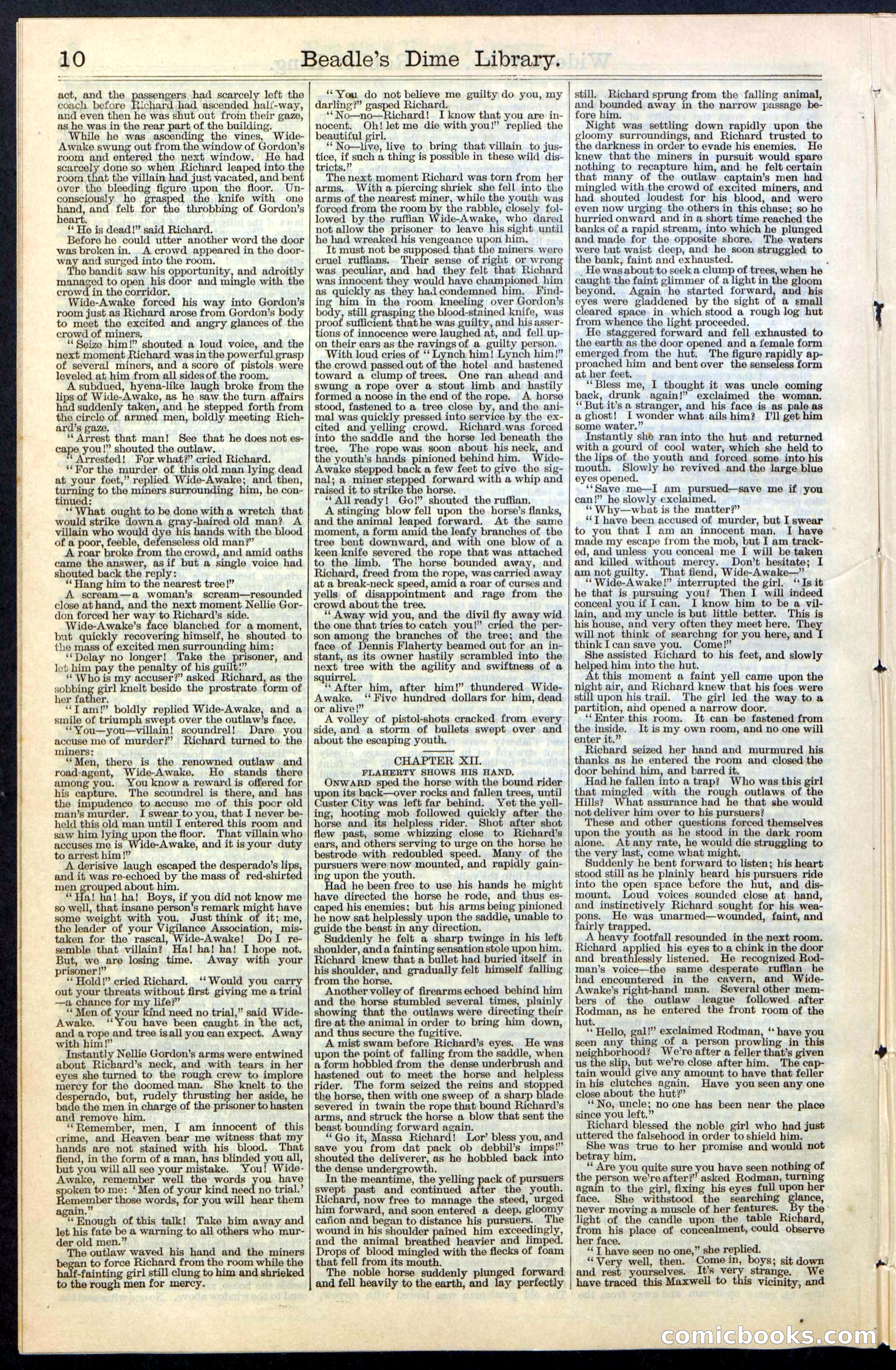Beadle's New York Dime Library, No. 60 — page 10 of 24