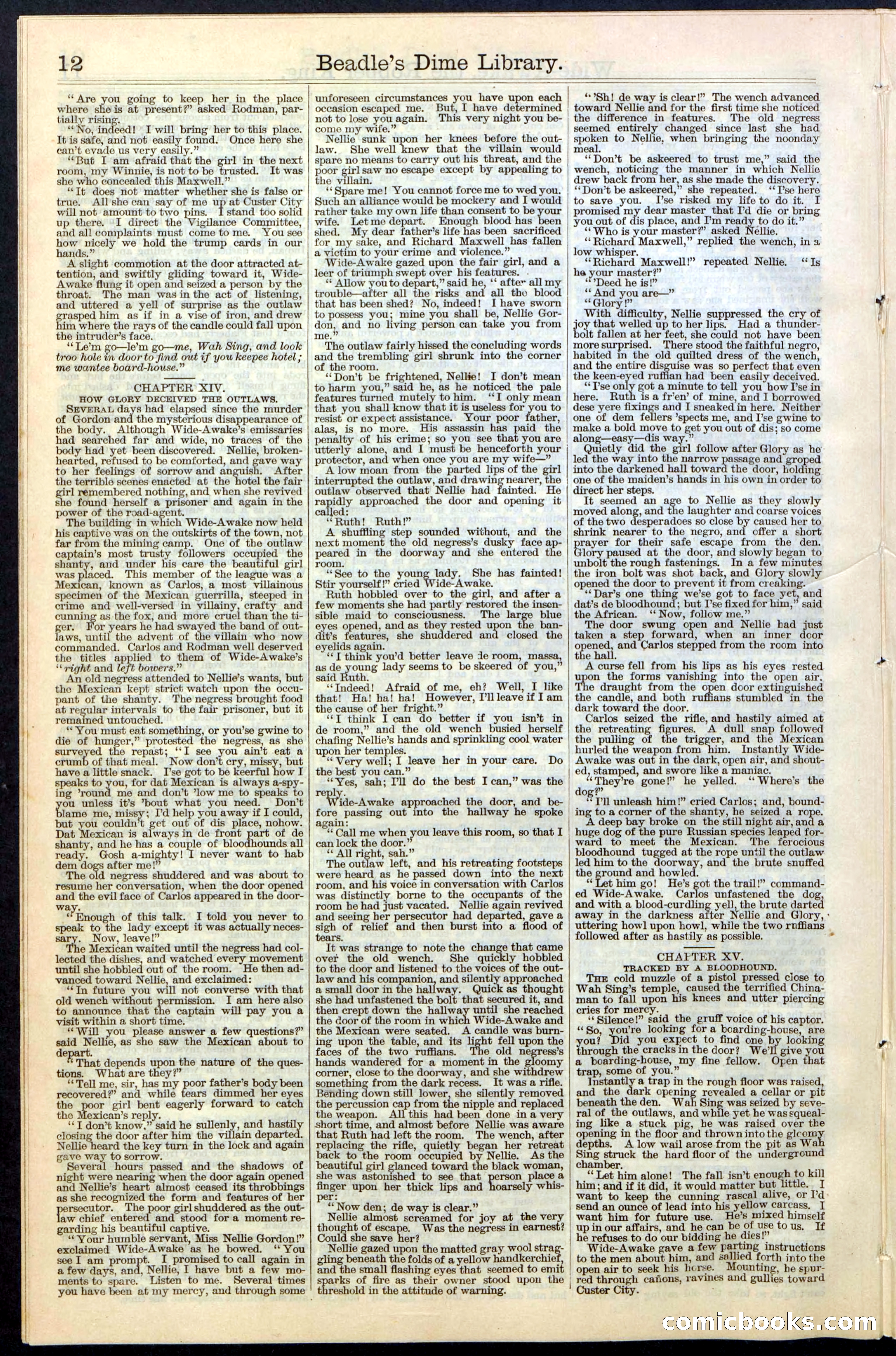 Beadle's New York Dime Library, No. 60 — page 12 of 24