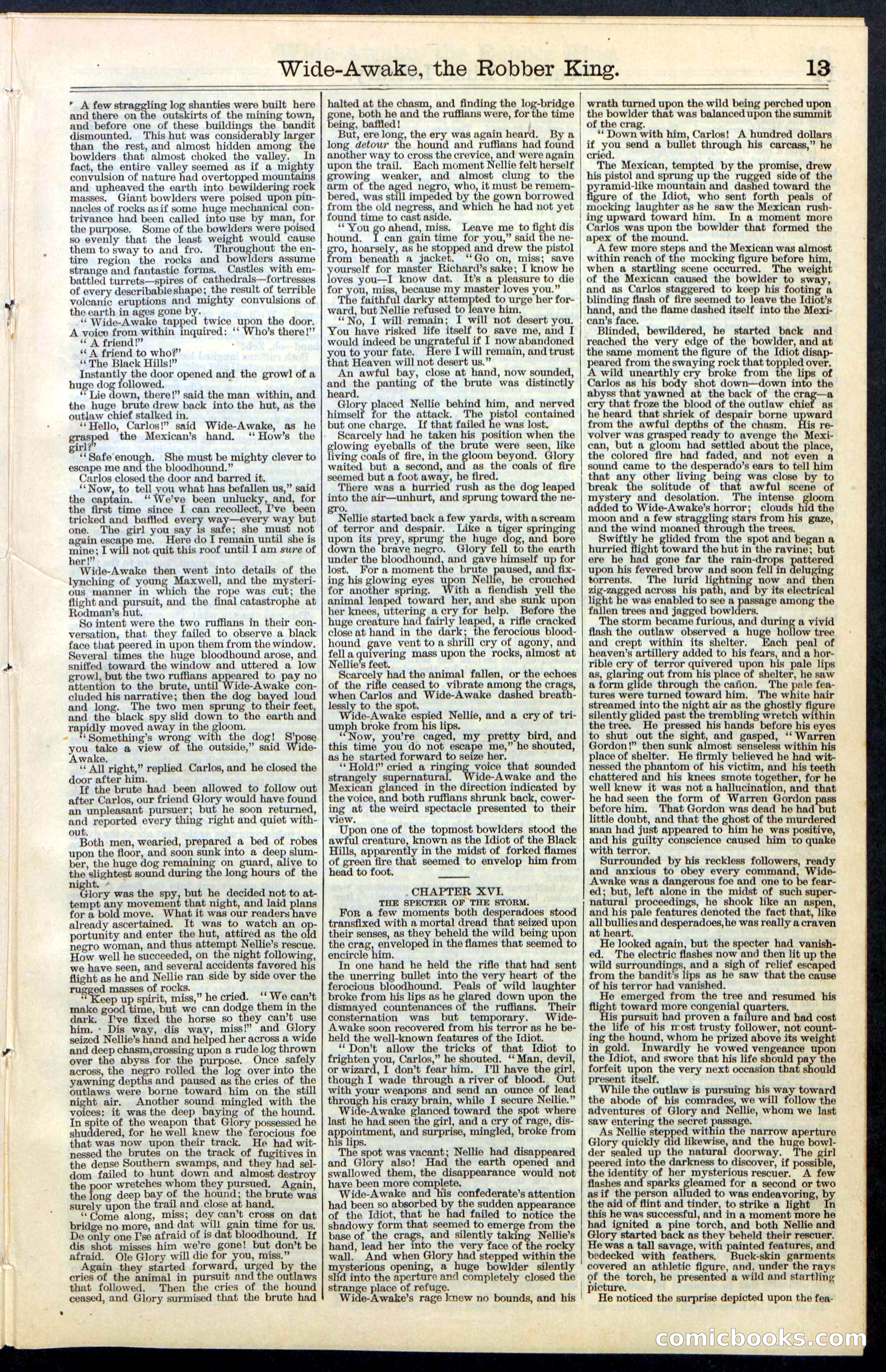 Beadle's New York Dime Library, No. 60 — page 13 of 24