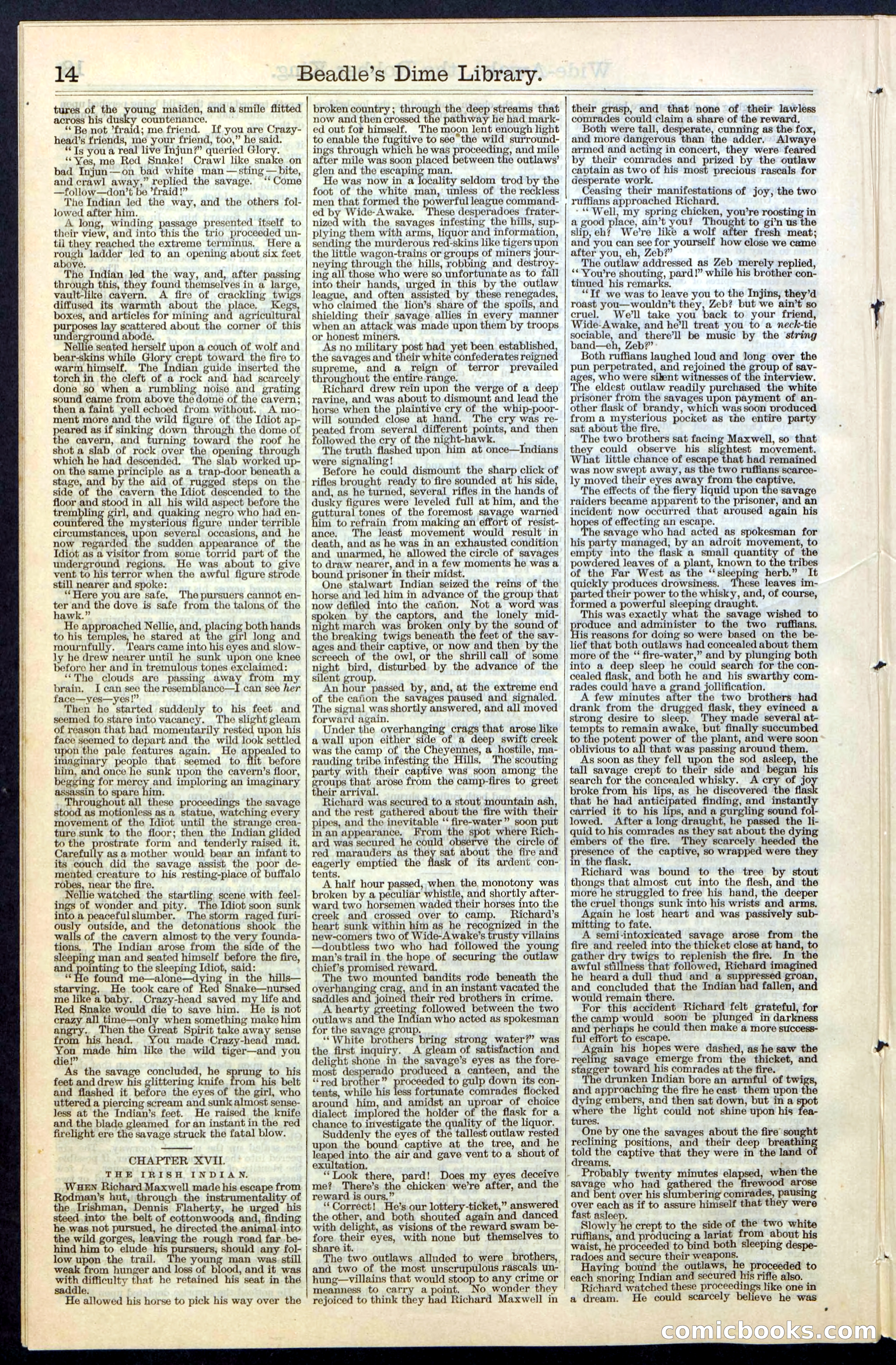 Beadle's New York Dime Library, No. 60 — page 14 of 24