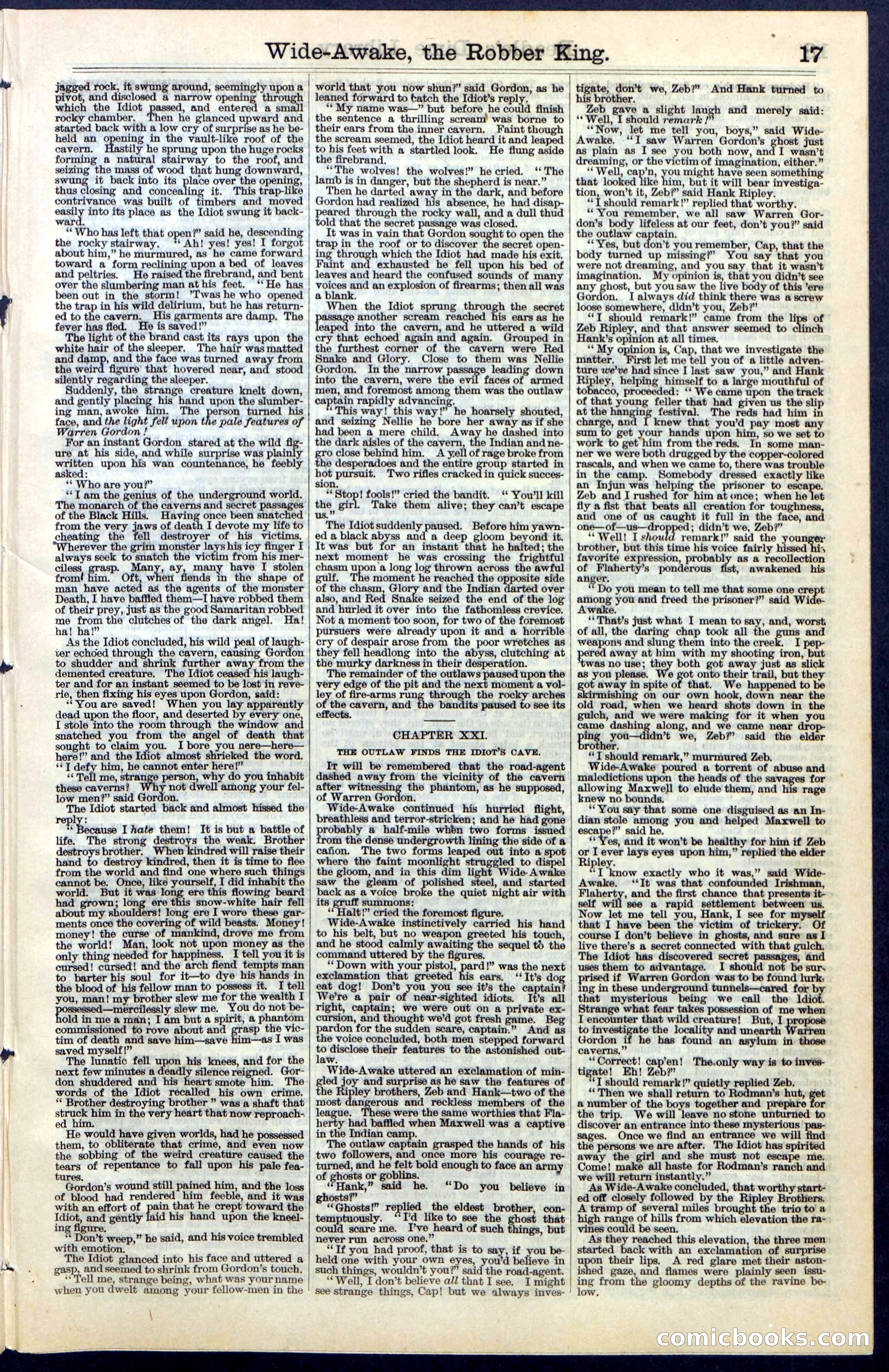 Beadle's New York Dime Library, No. 60 — page 17 of 24