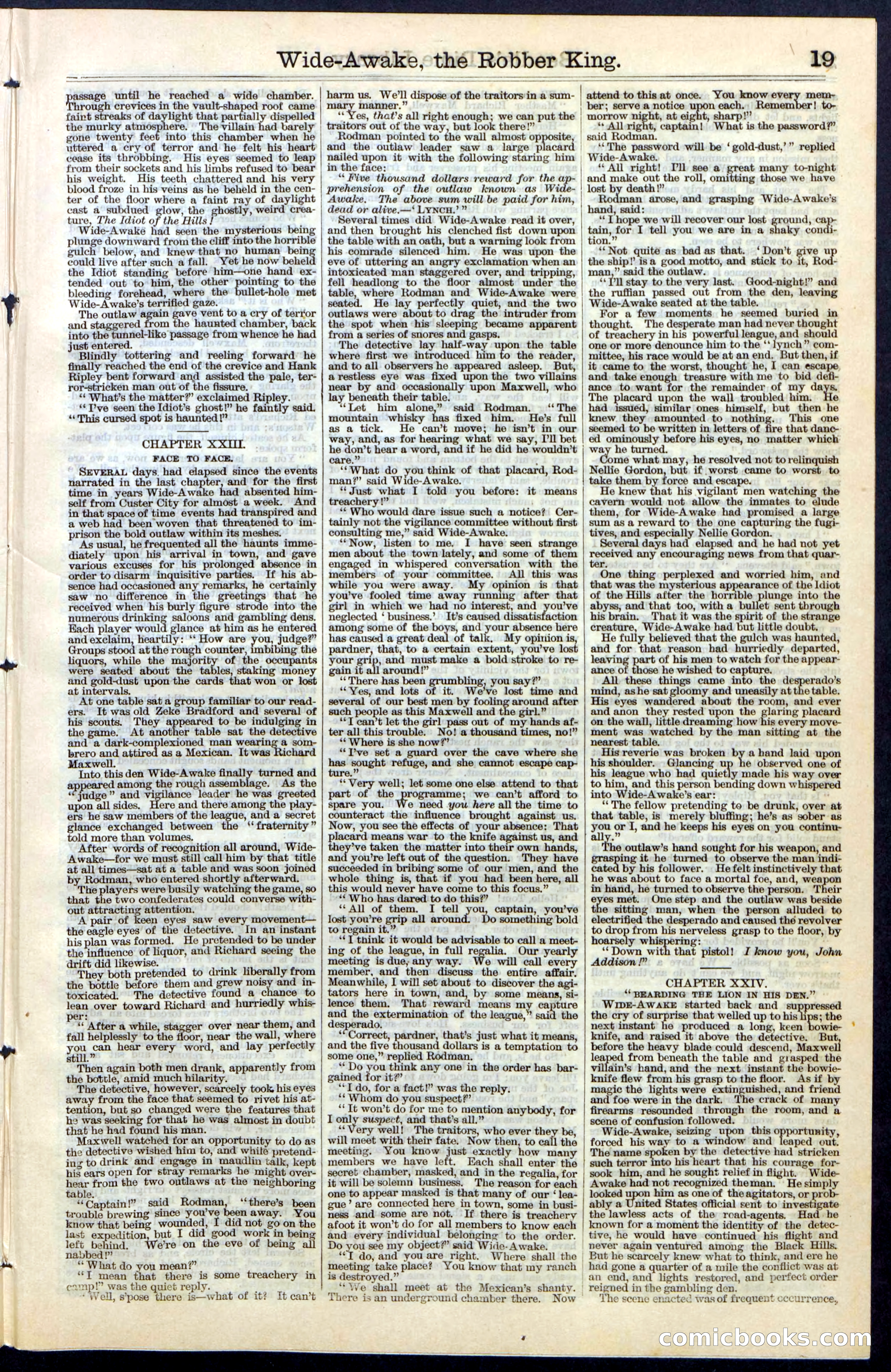 Beadle's New York Dime Library, No. 60 — page 19 of 24