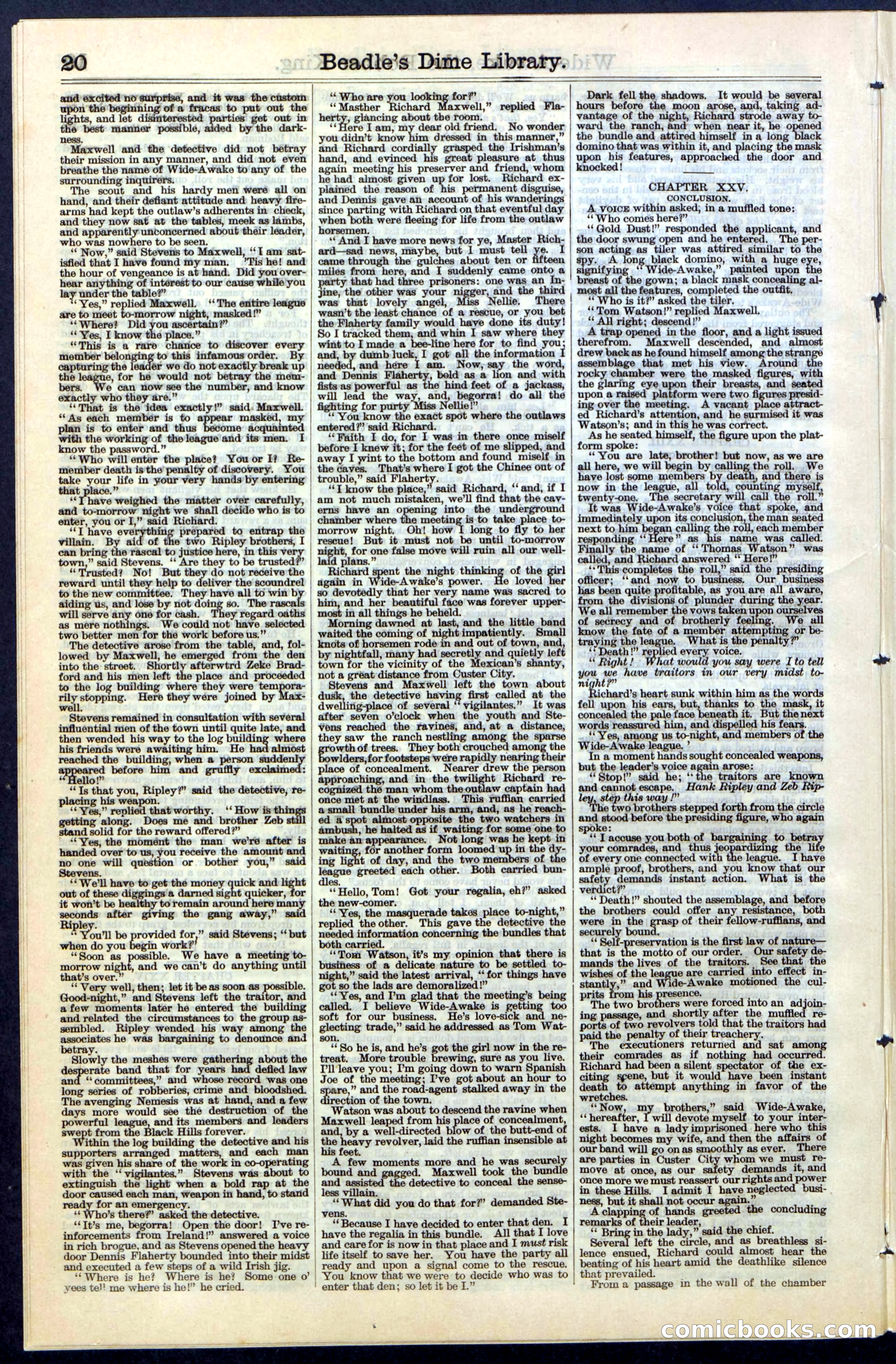 Beadle's New York Dime Library, No. 60 — page 20 of 24