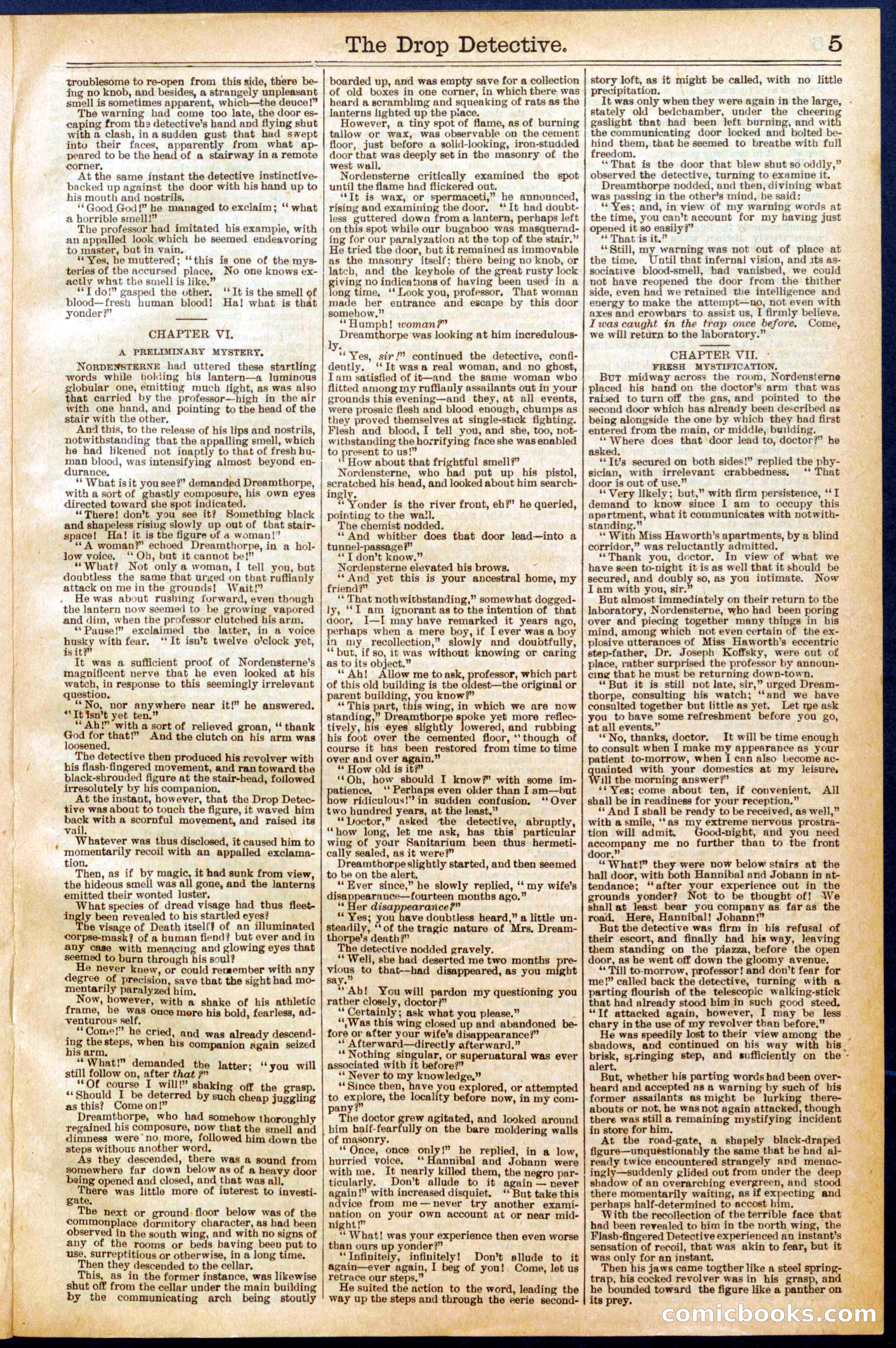 Beadle's New York Dime Library No. 606 — page 5 of 32