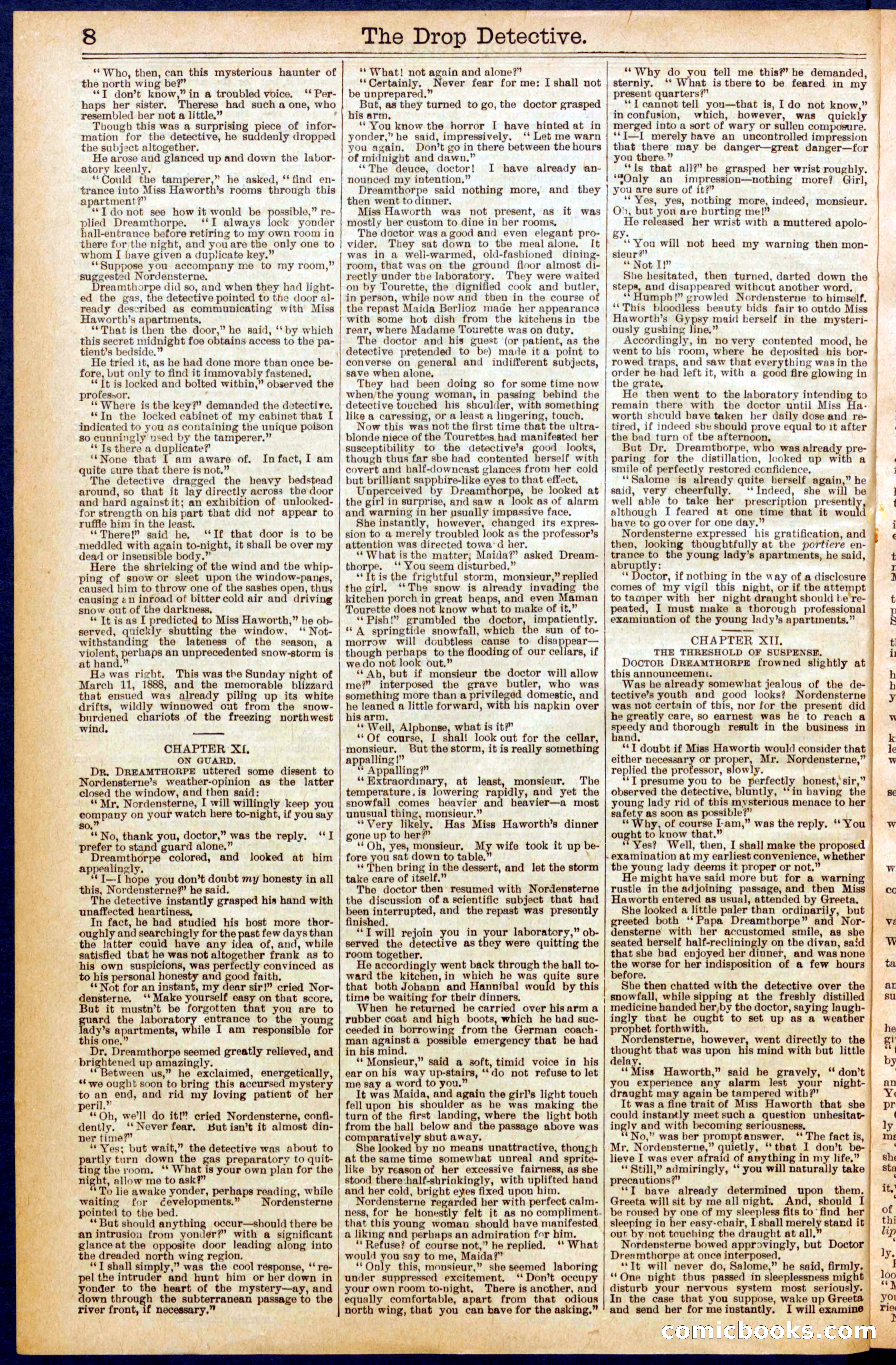 Beadle's New York Dime Library No. 606 — page 8 of 32