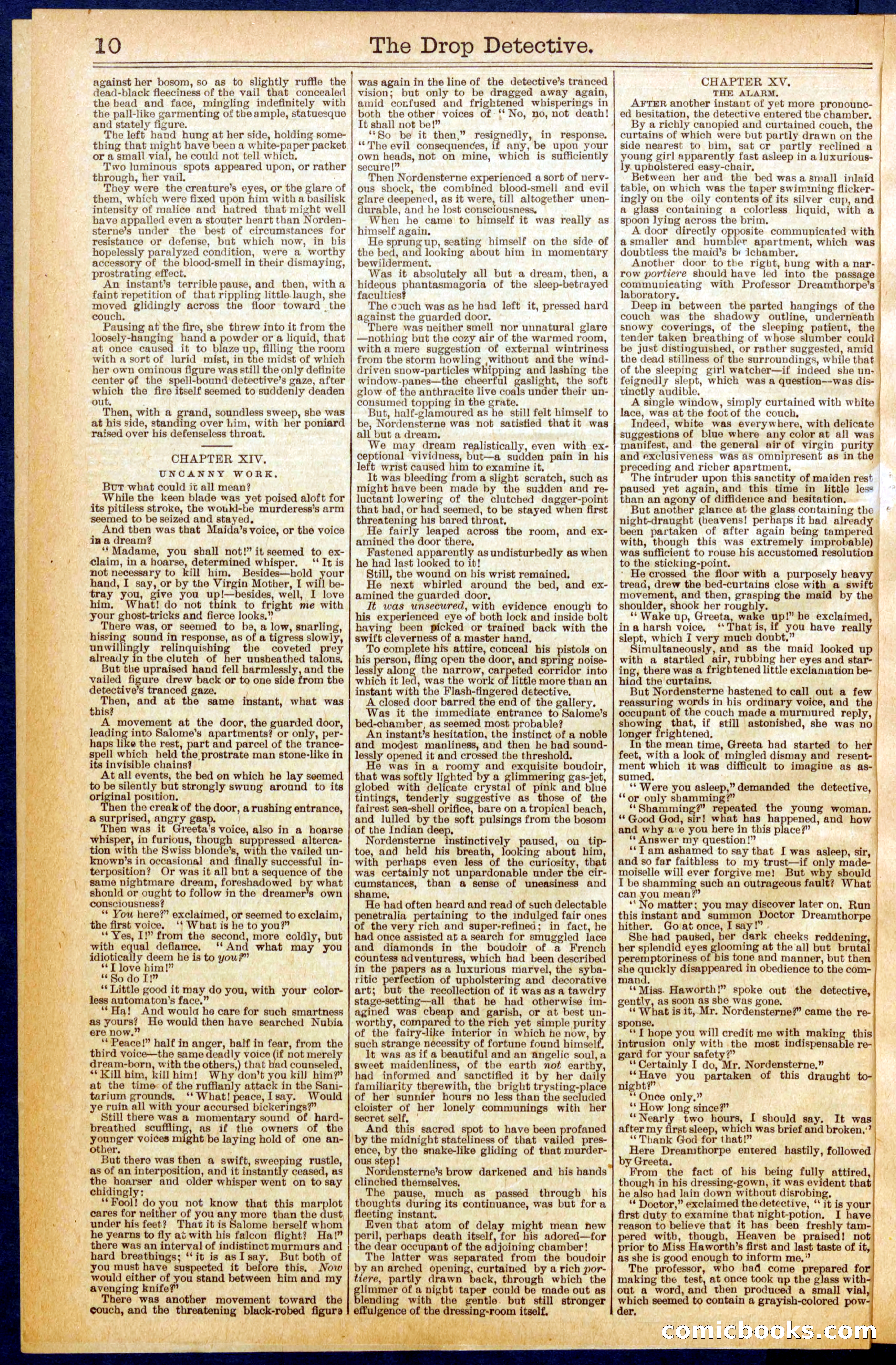 Beadle's New York Dime Library No. 606 — page 10 of 32