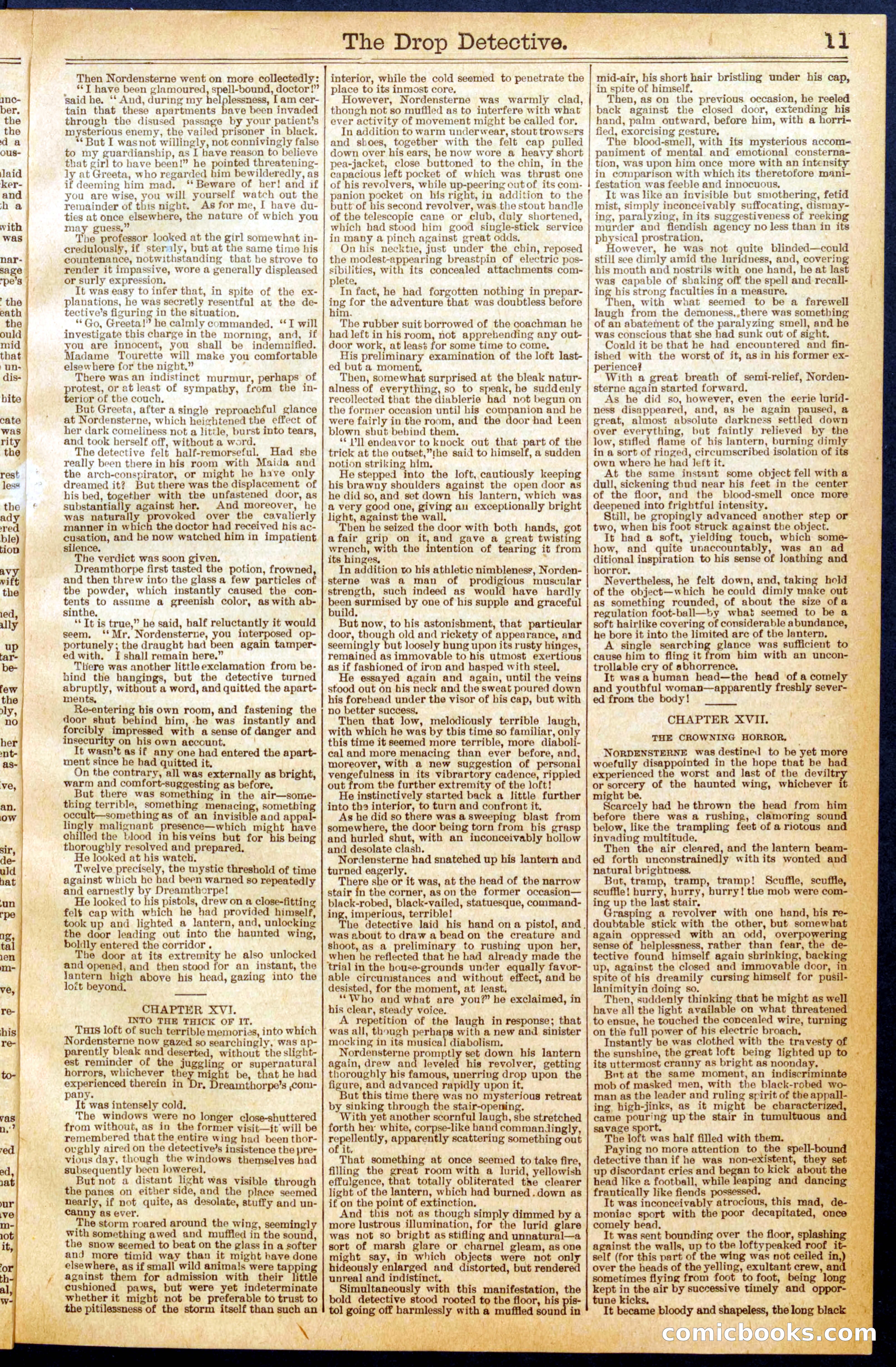 Beadle's New York Dime Library No. 606 — page 11 of 32