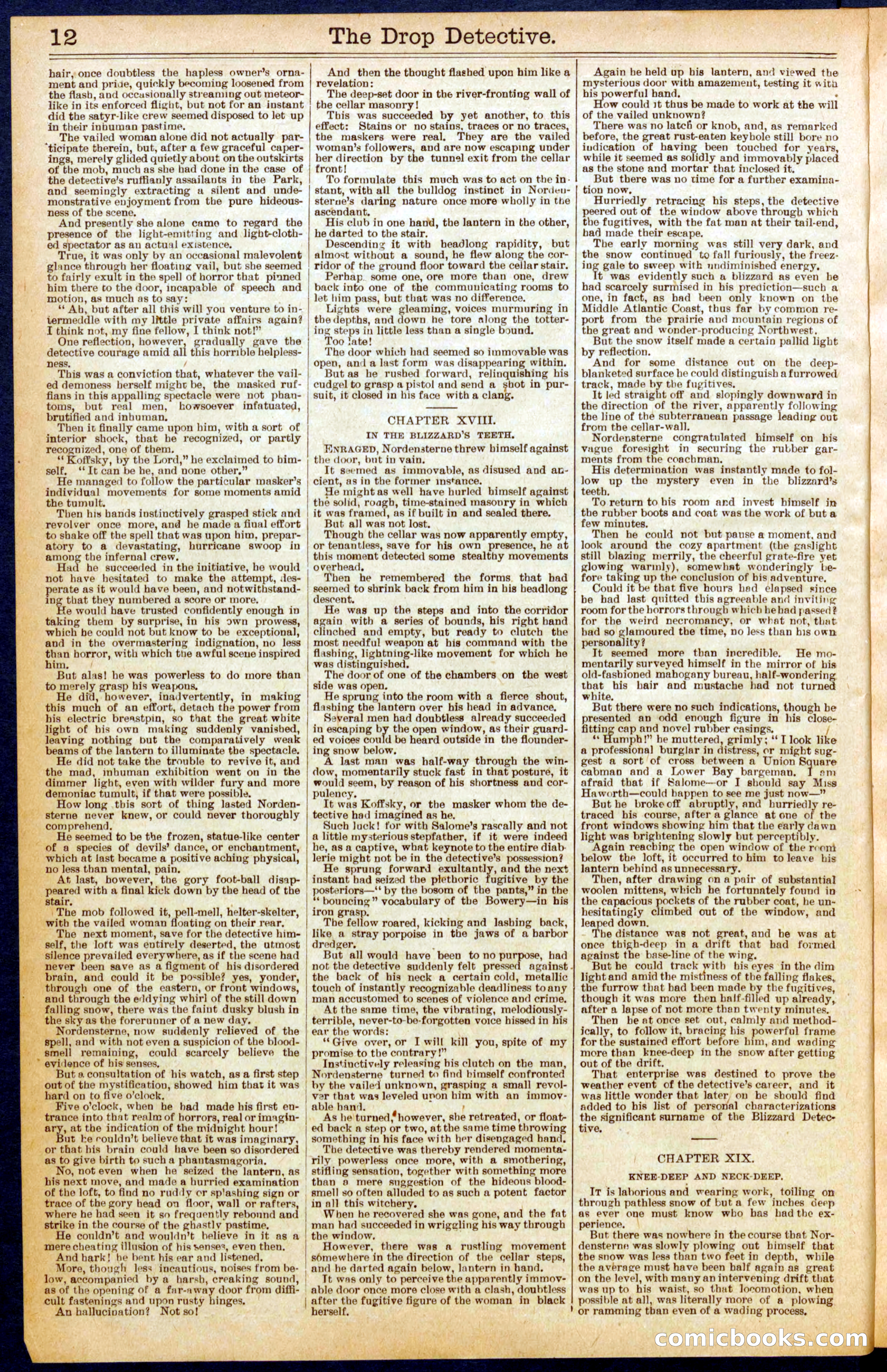 Beadle's New York Dime Library No. 606 — page 12 of 32
