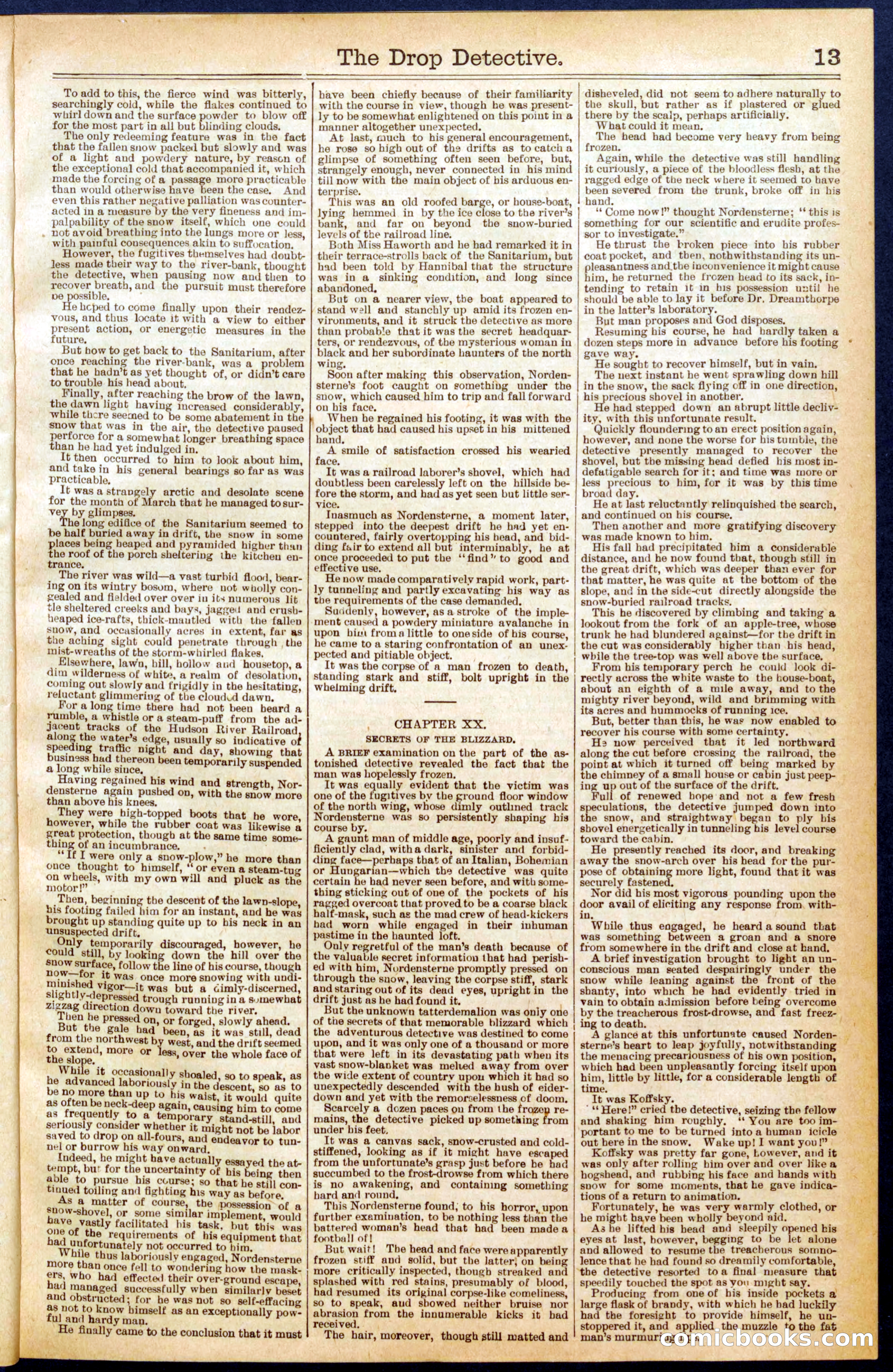 Beadle's New York Dime Library No. 606 — page 13 of 32
