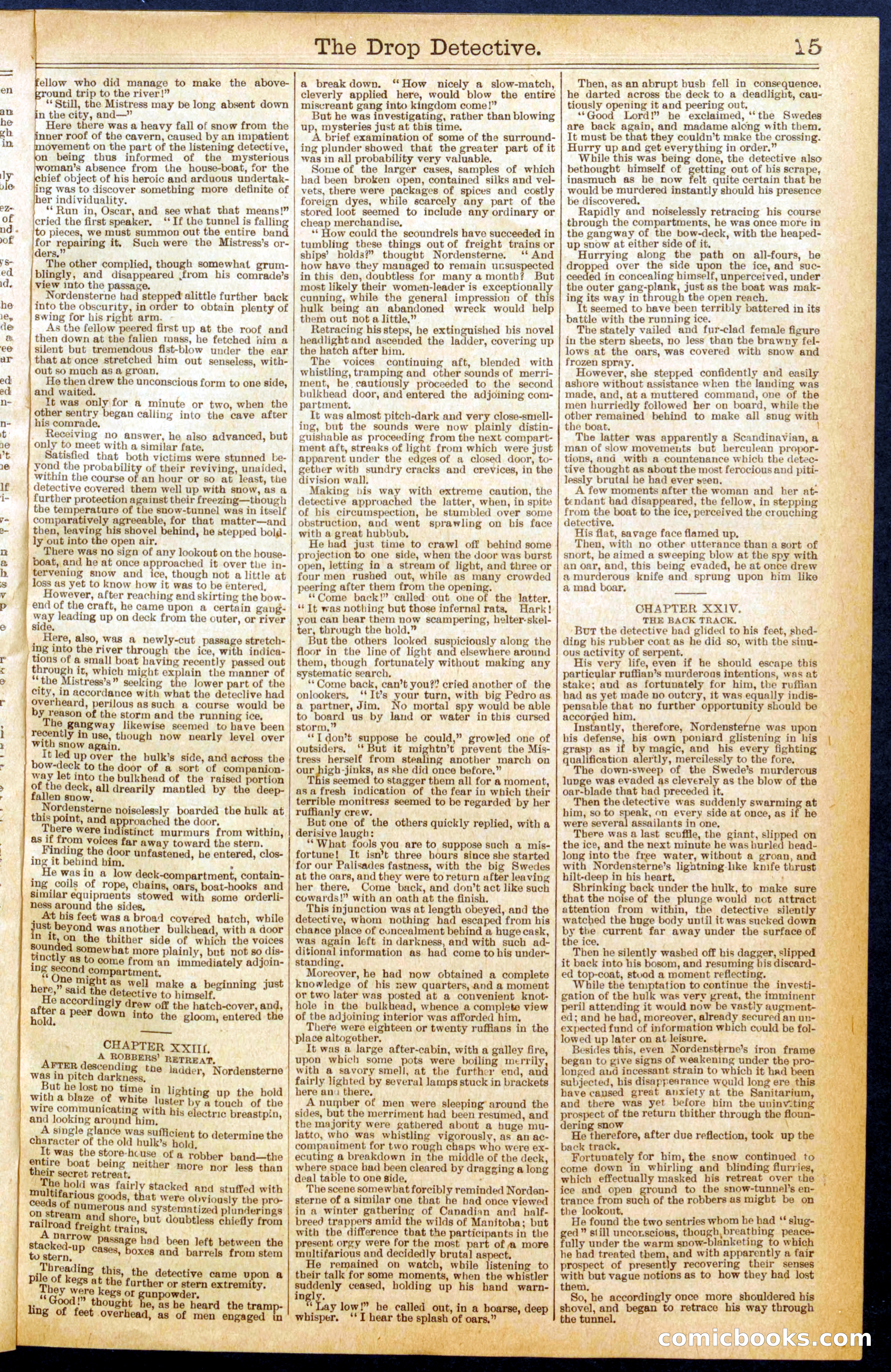 Beadle's New York Dime Library No. 606 — page 15 of 32