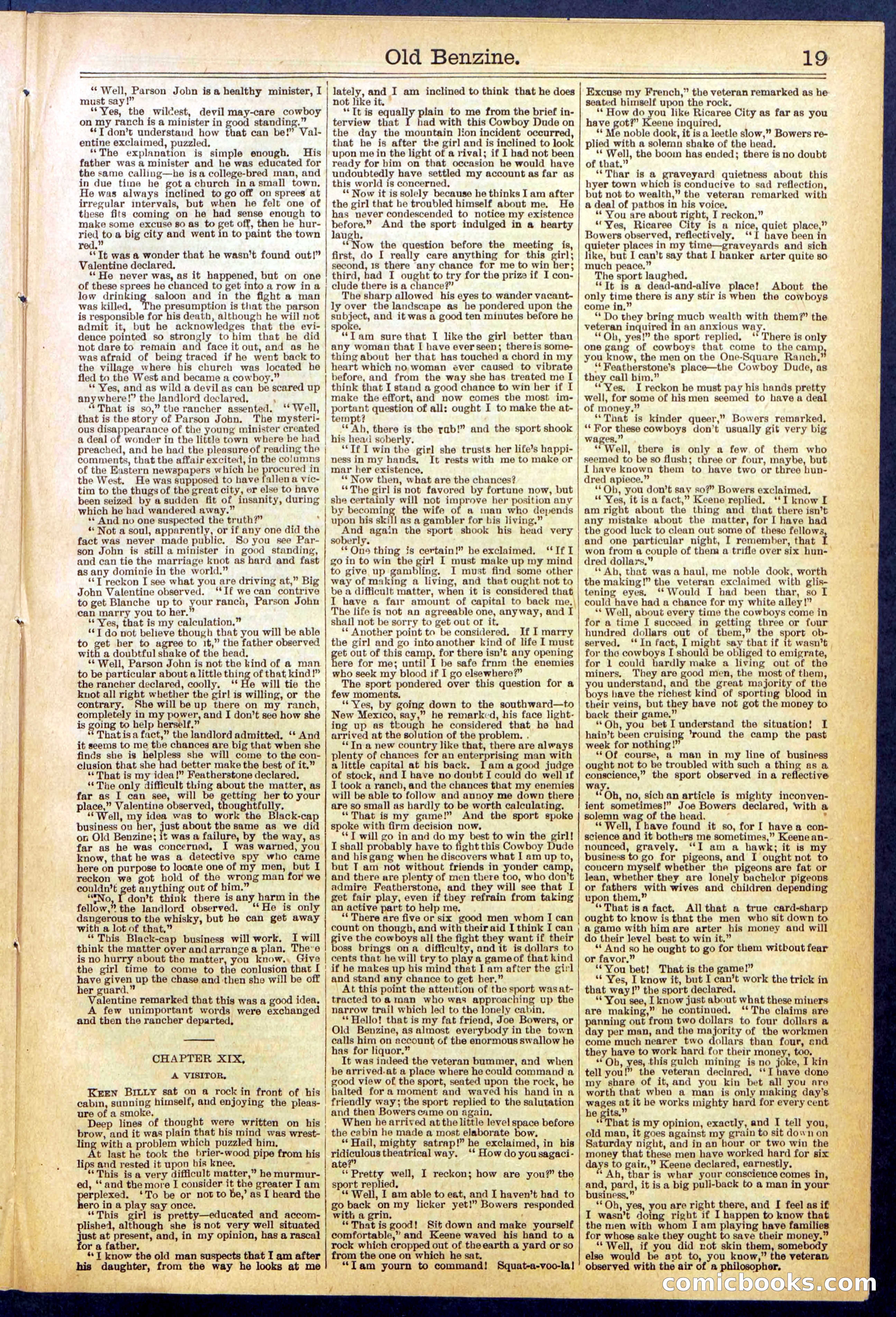 Beadle's New York Dime Library, No. 607 — page 19 of 32