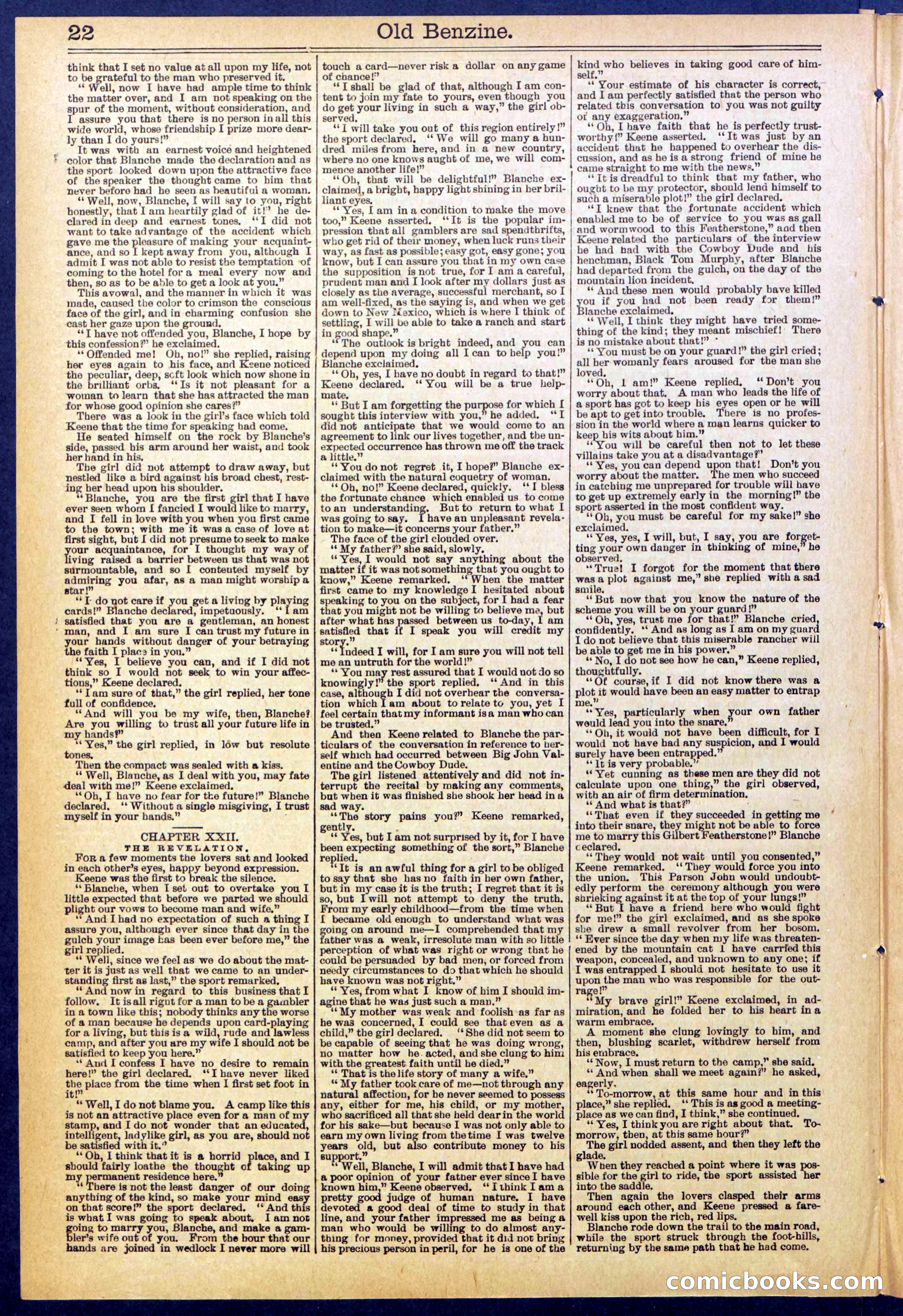 Beadle's New York Dime Library, No. 607 — page 22 of 32