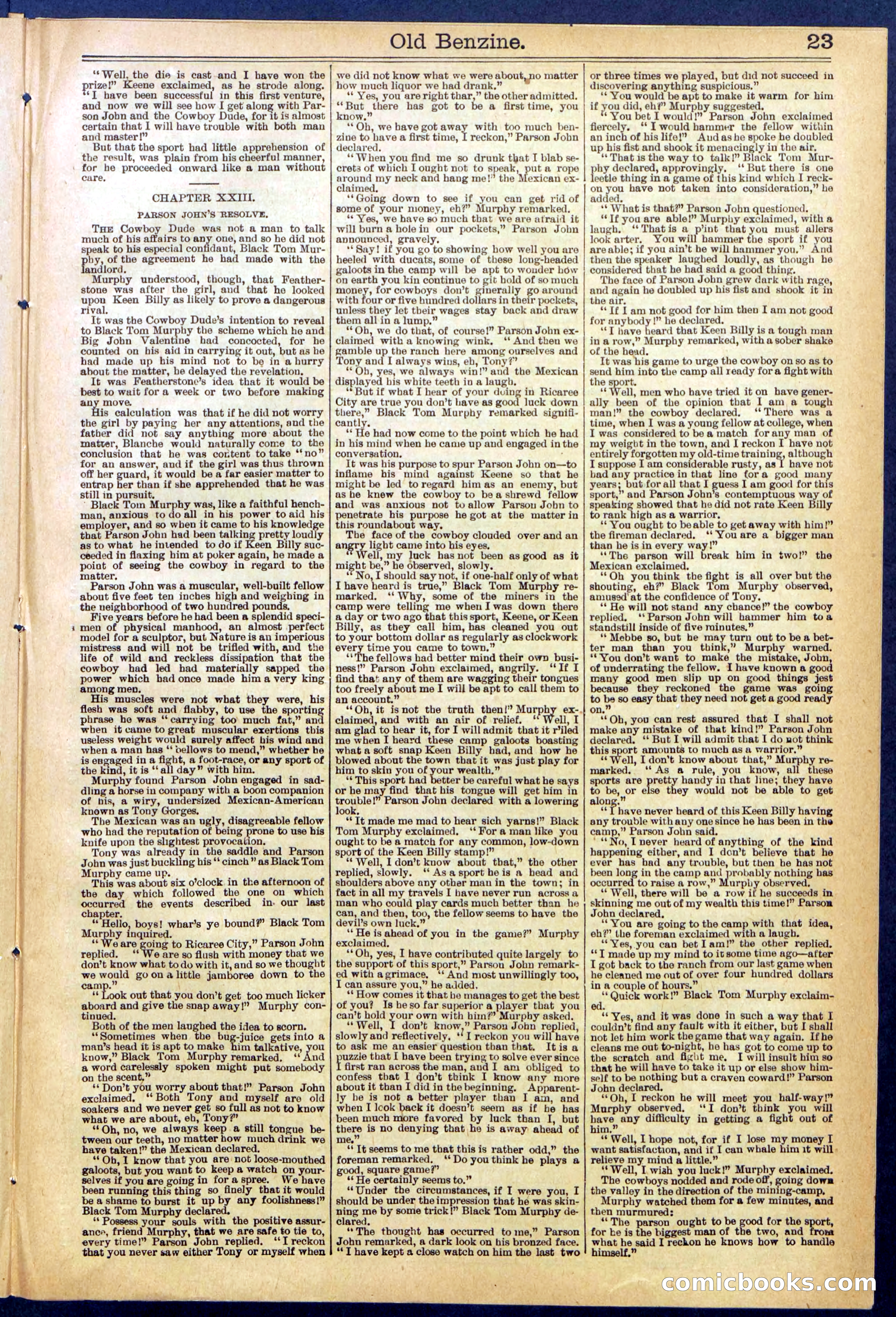 Beadle's New York Dime Library, No. 607 — page 23 of 32