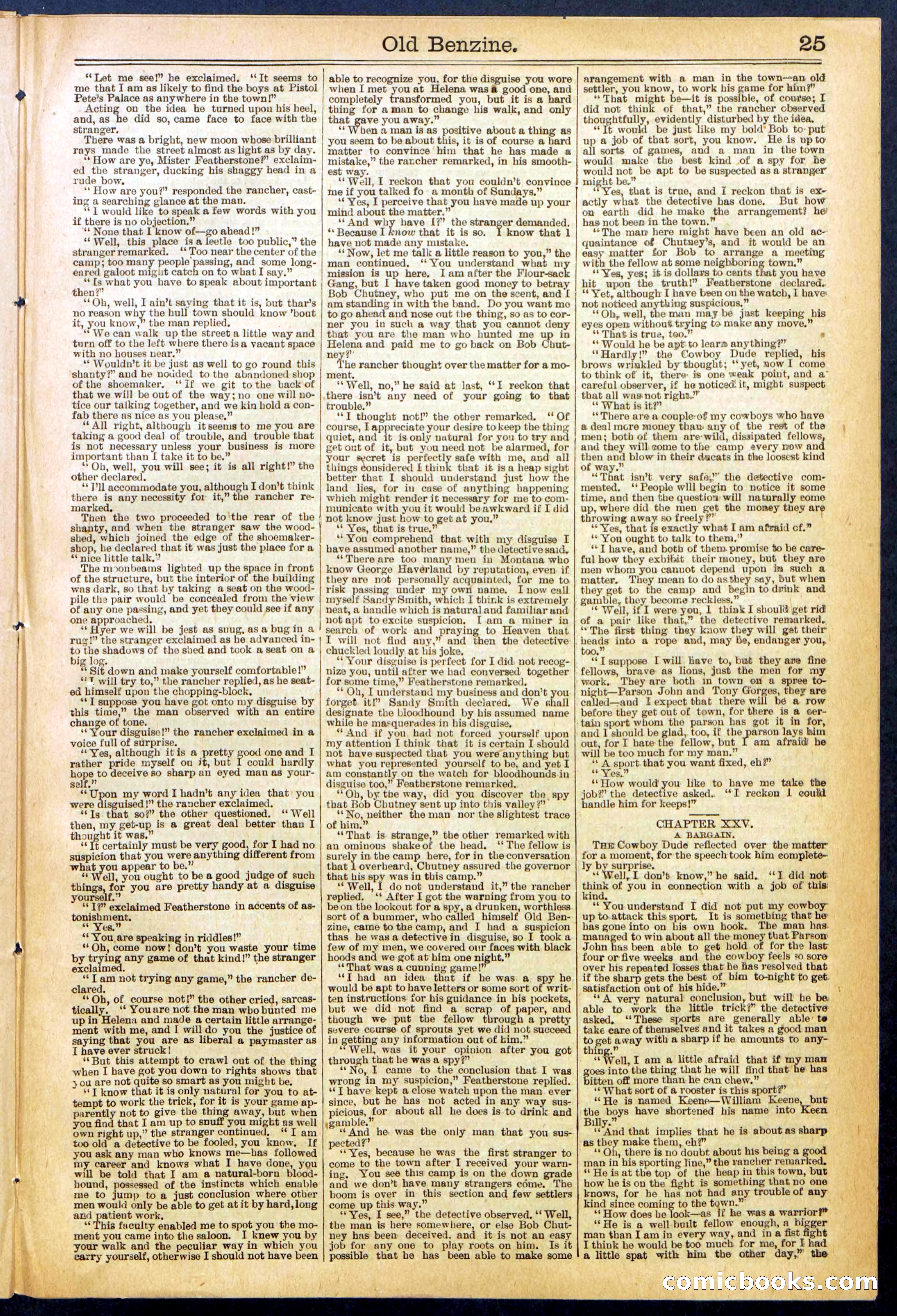 Beadle's New York Dime Library, No. 607 — page 25 of 32