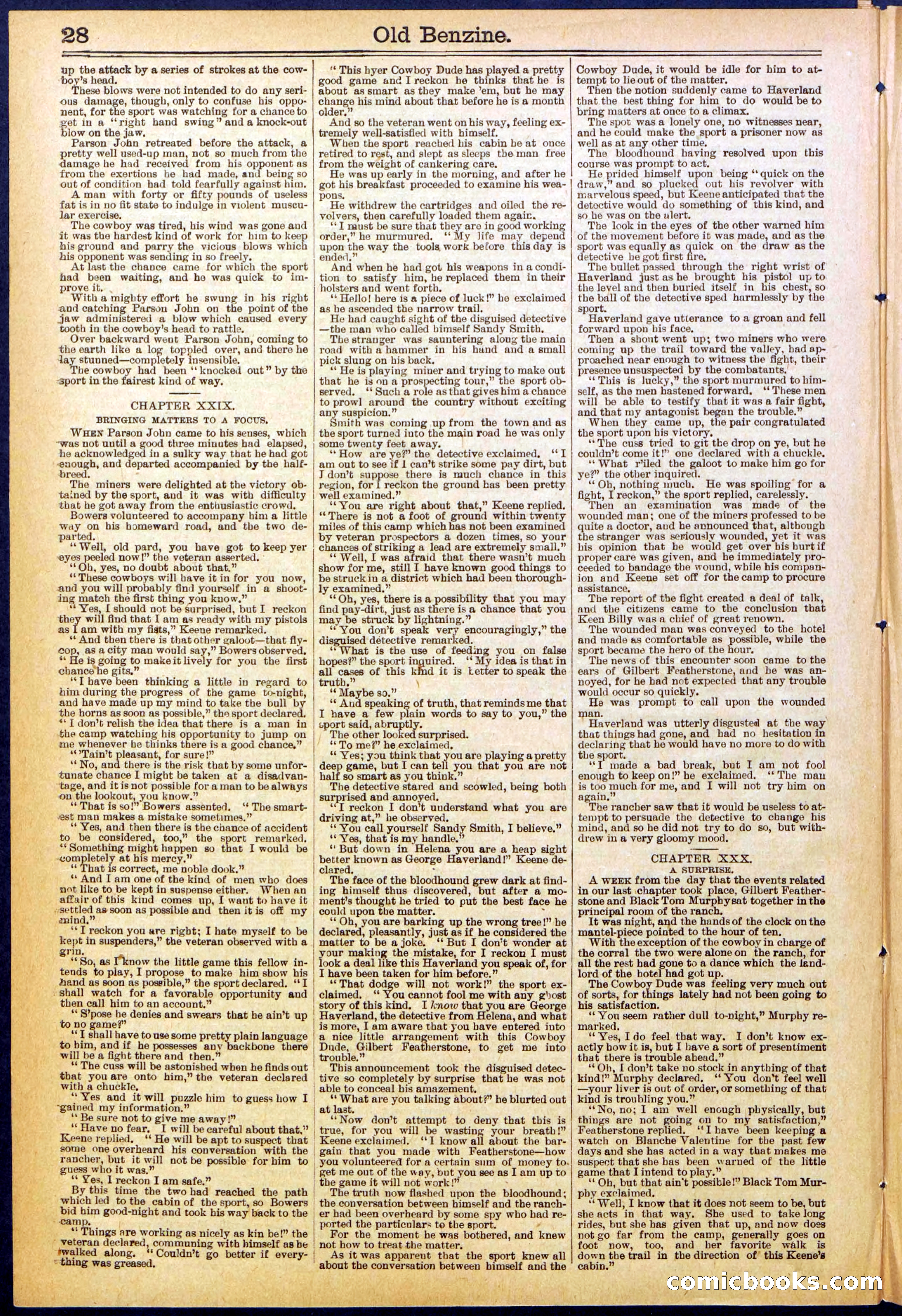 Beadle's New York Dime Library, No. 607 — page 28 of 32