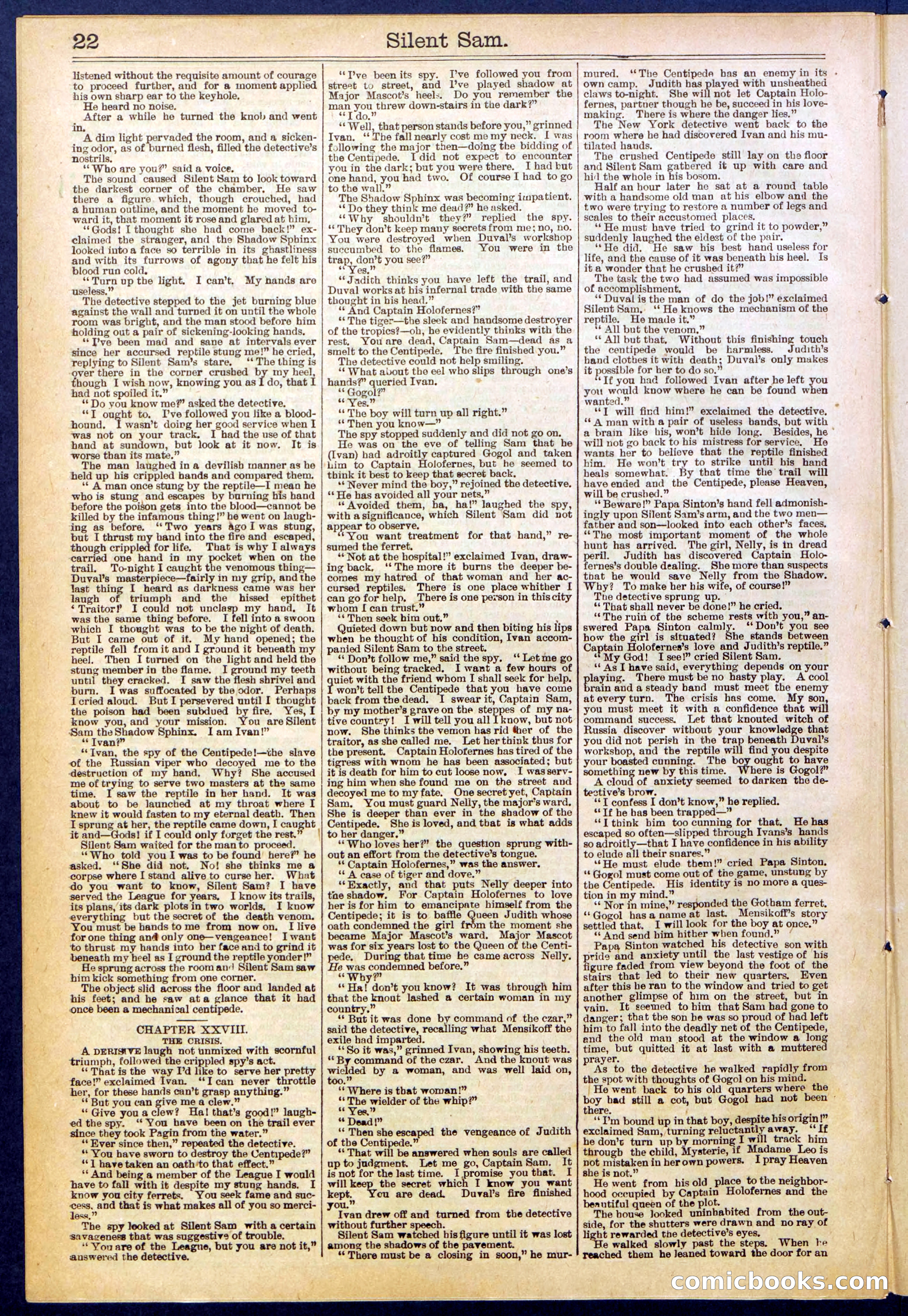 Beadle's New York Dime Library No. 608 — page 22 of 32
