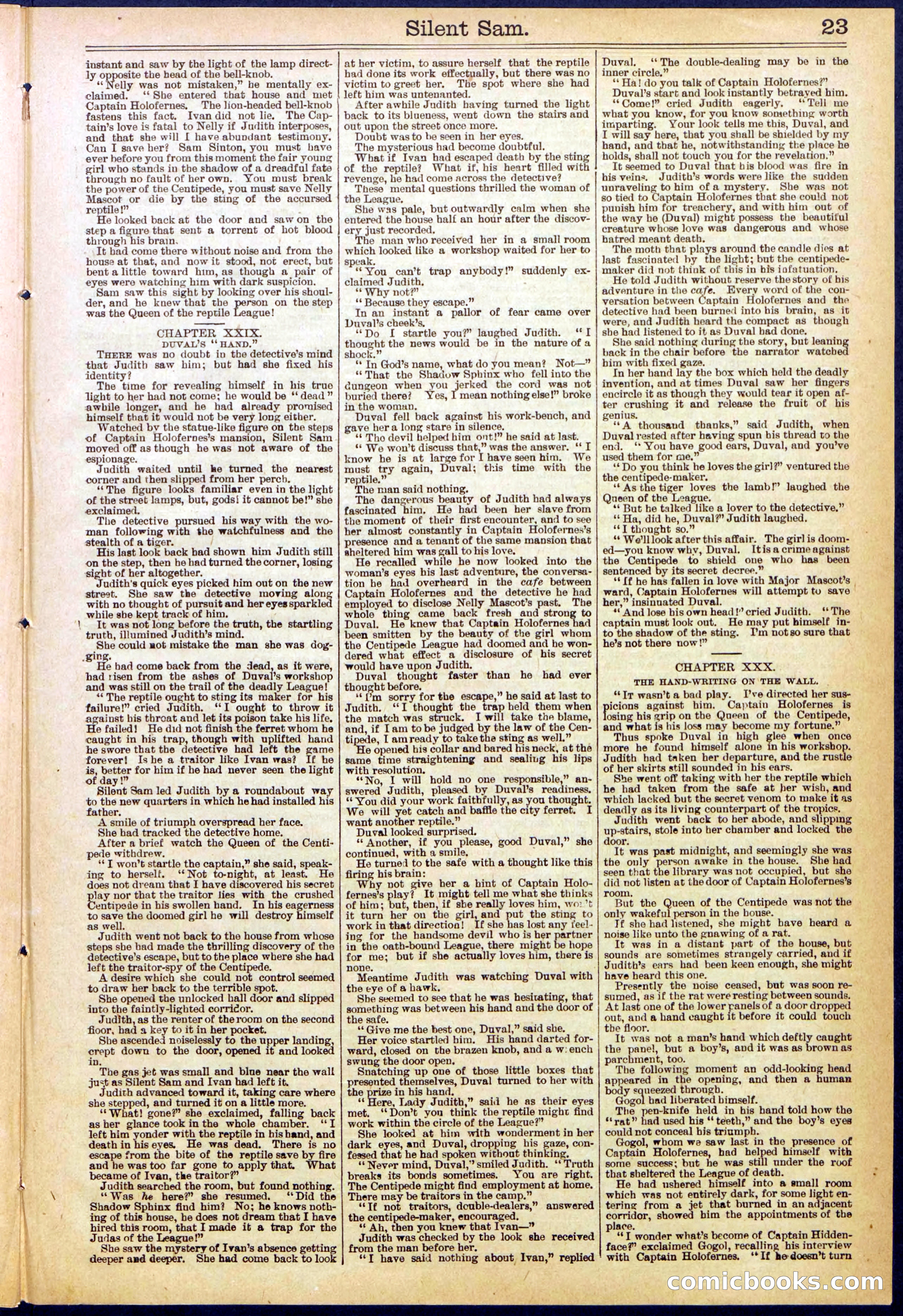 Beadle's New York Dime Library No. 608 — page 23 of 32