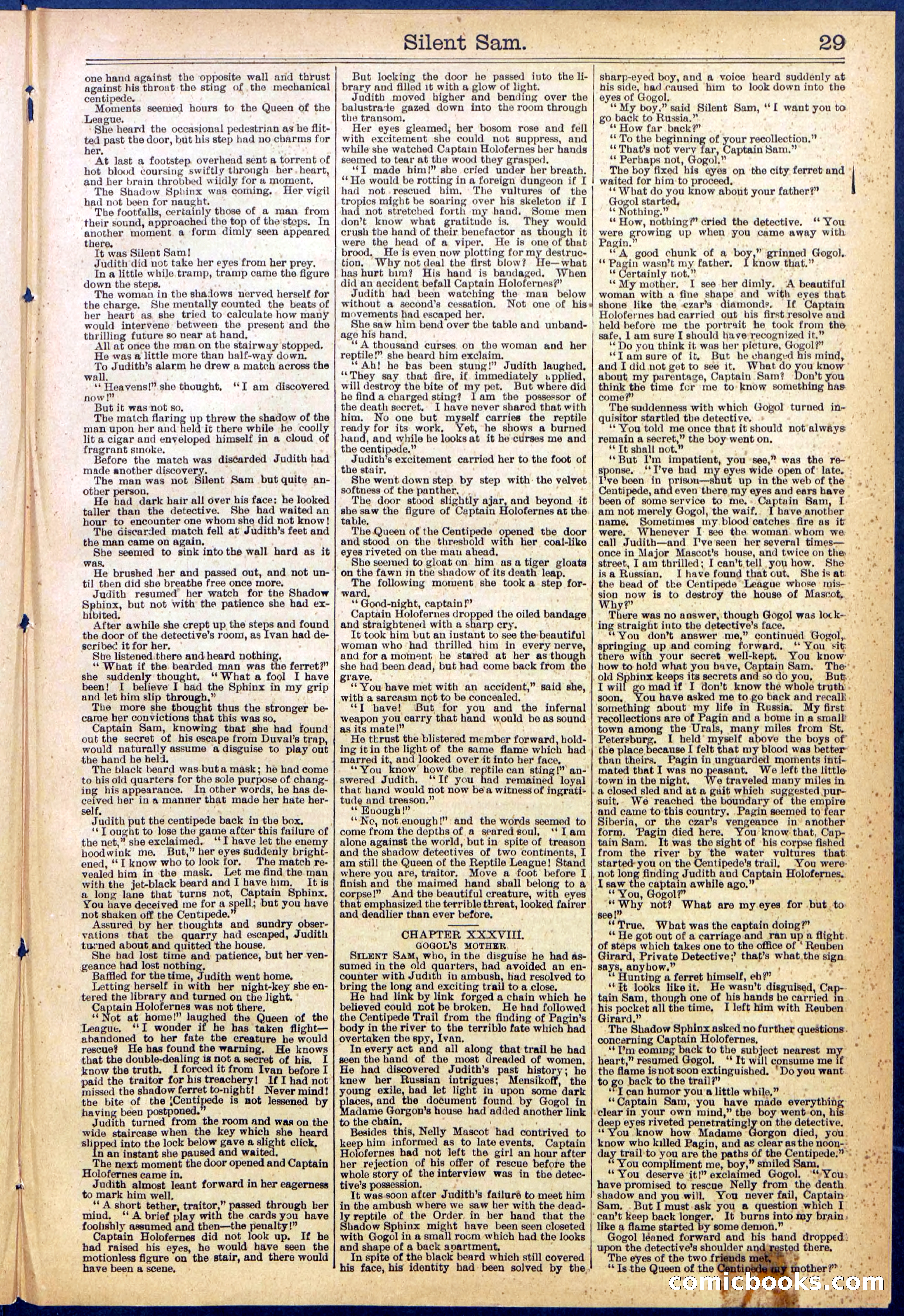 Beadle's New York Dime Library No. 608 — page 29 of 32