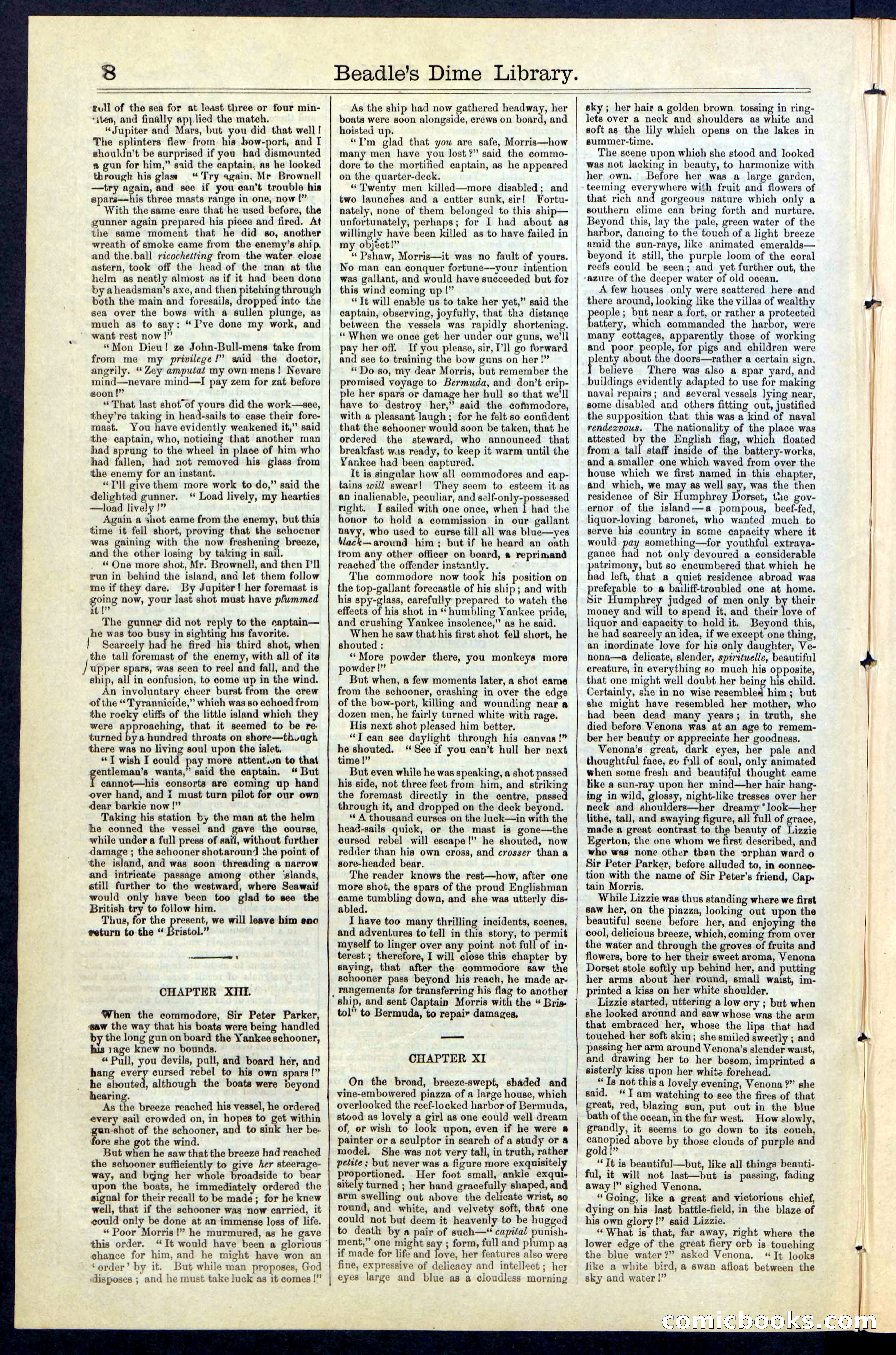 Beadle's New York Dime Library No. 61 — page 8 of 48