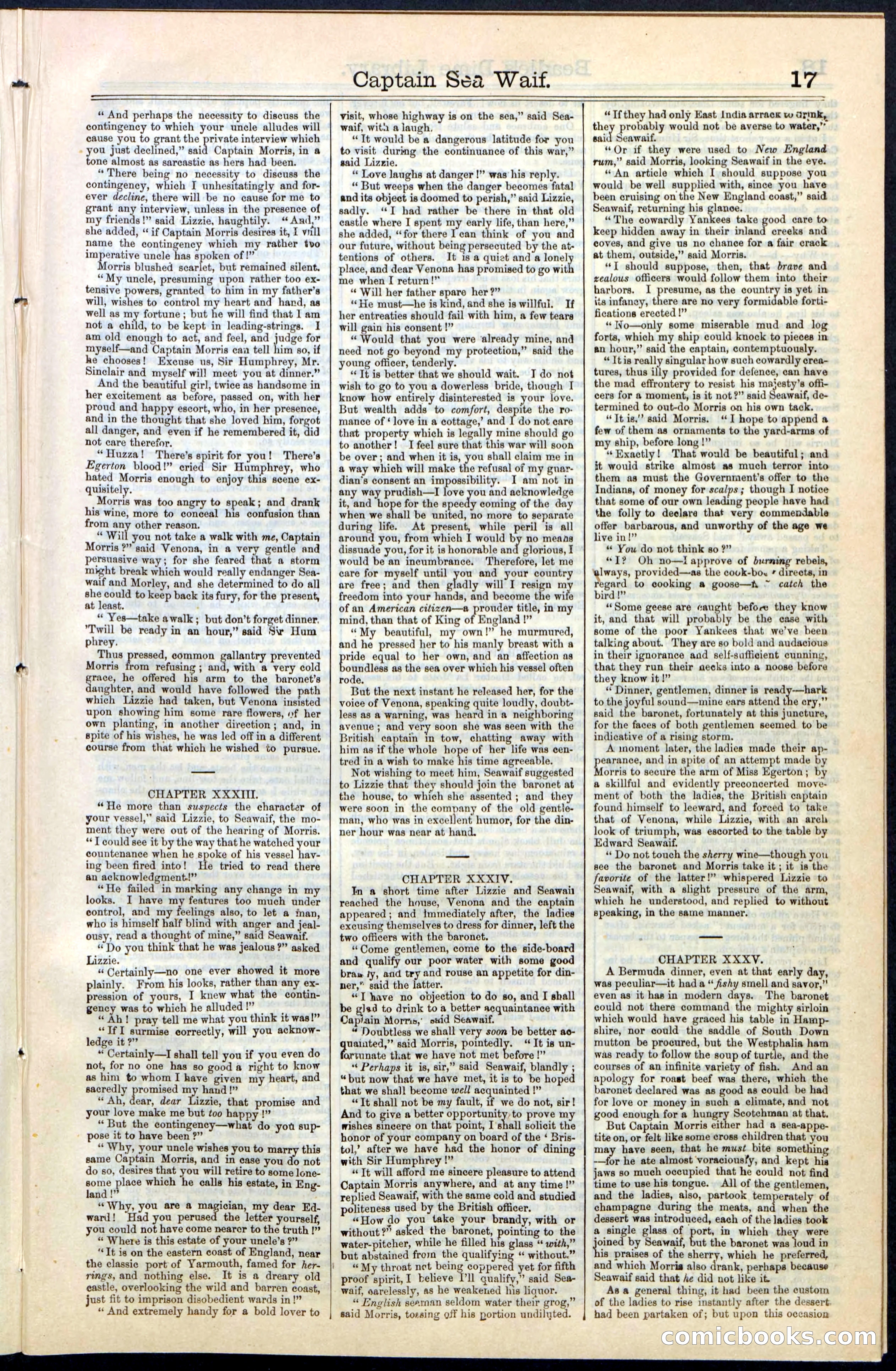 Beadle's New York Dime Library No. 61 — page 17 of 48