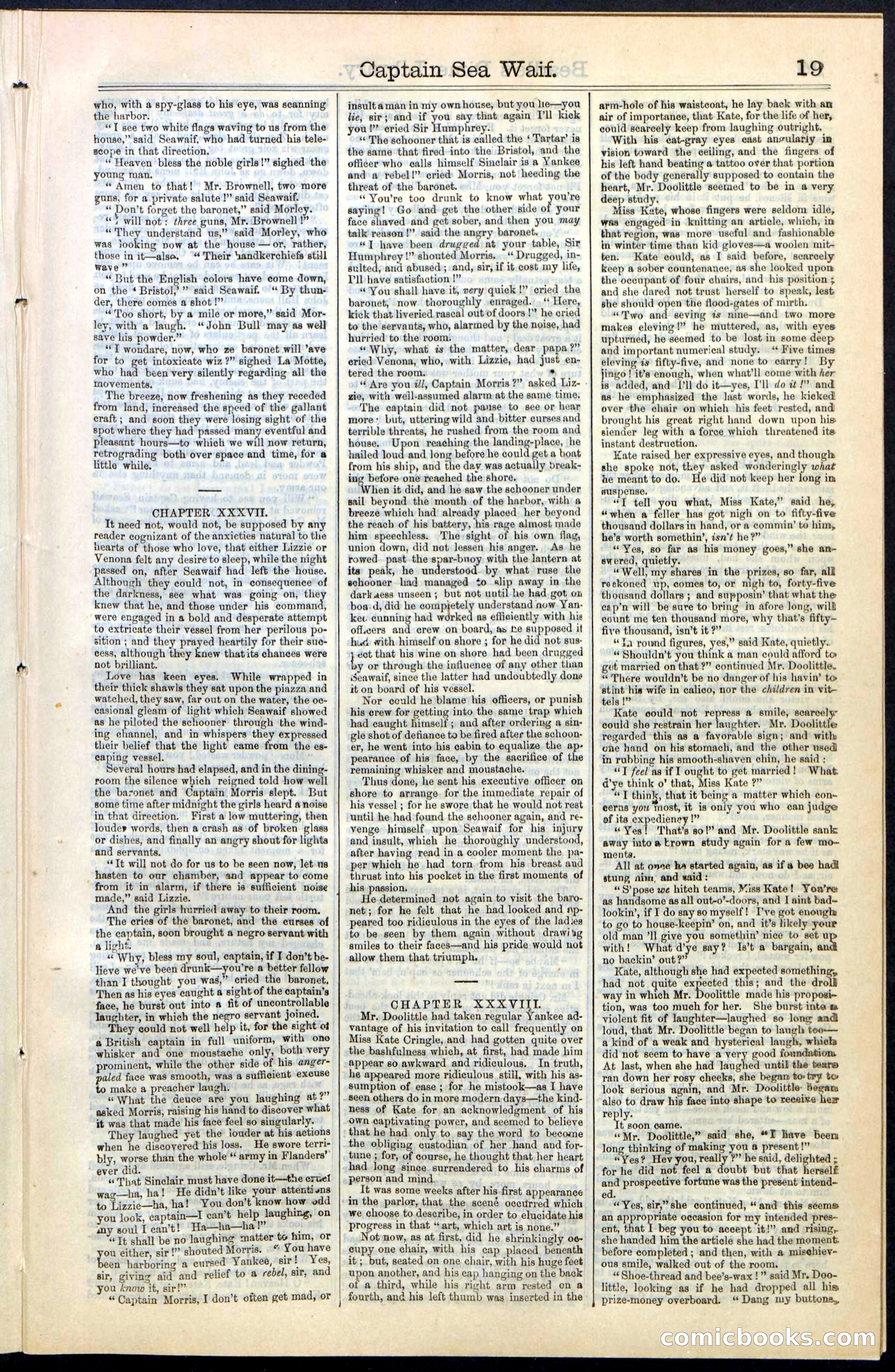 Beadle's New York Dime Library No. 61 — page 19 of 48