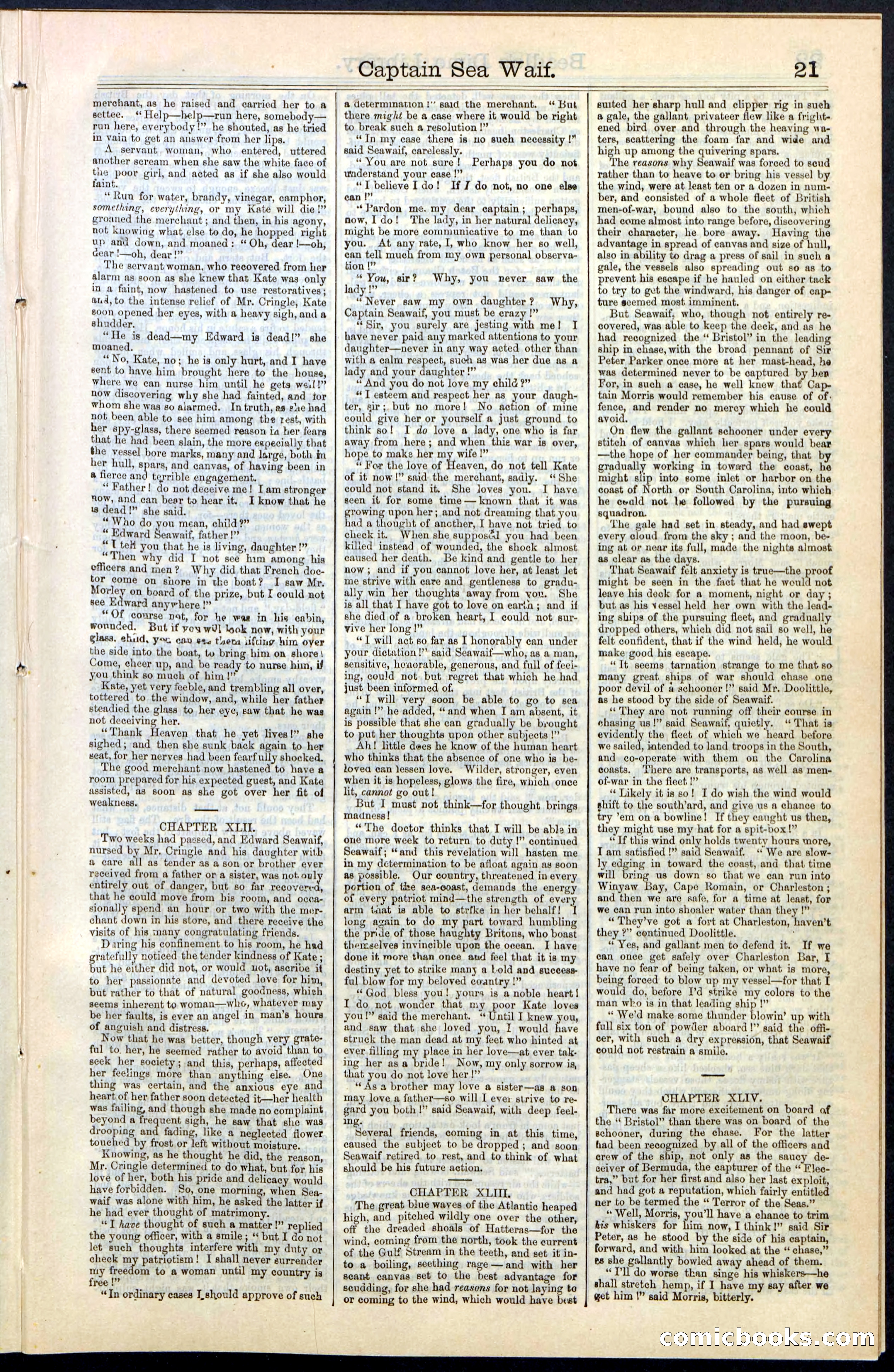 Beadle's New York Dime Library No. 61 — page 21 of 48