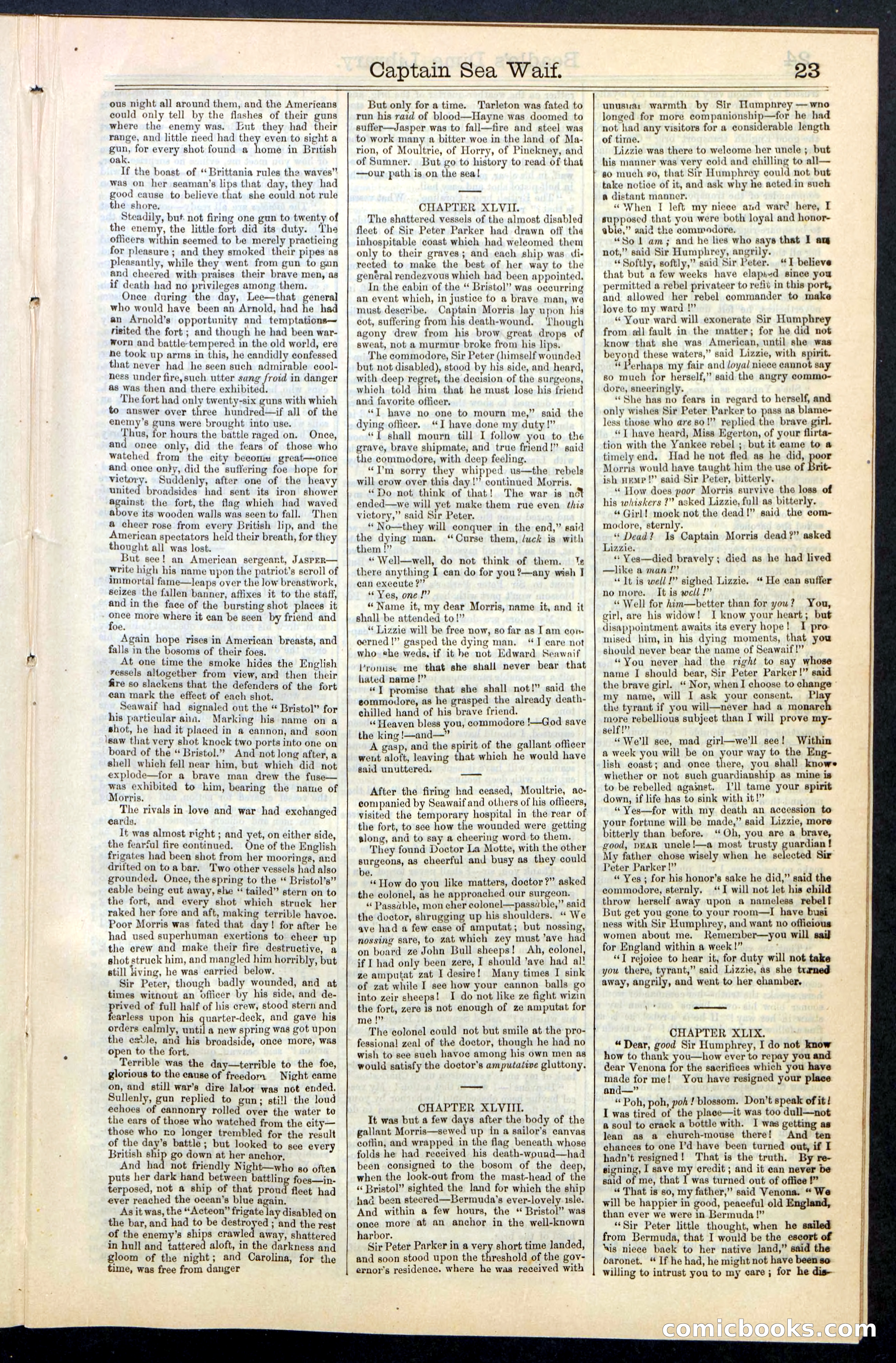 Beadle's New York Dime Library No. 61 — page 23 of 48