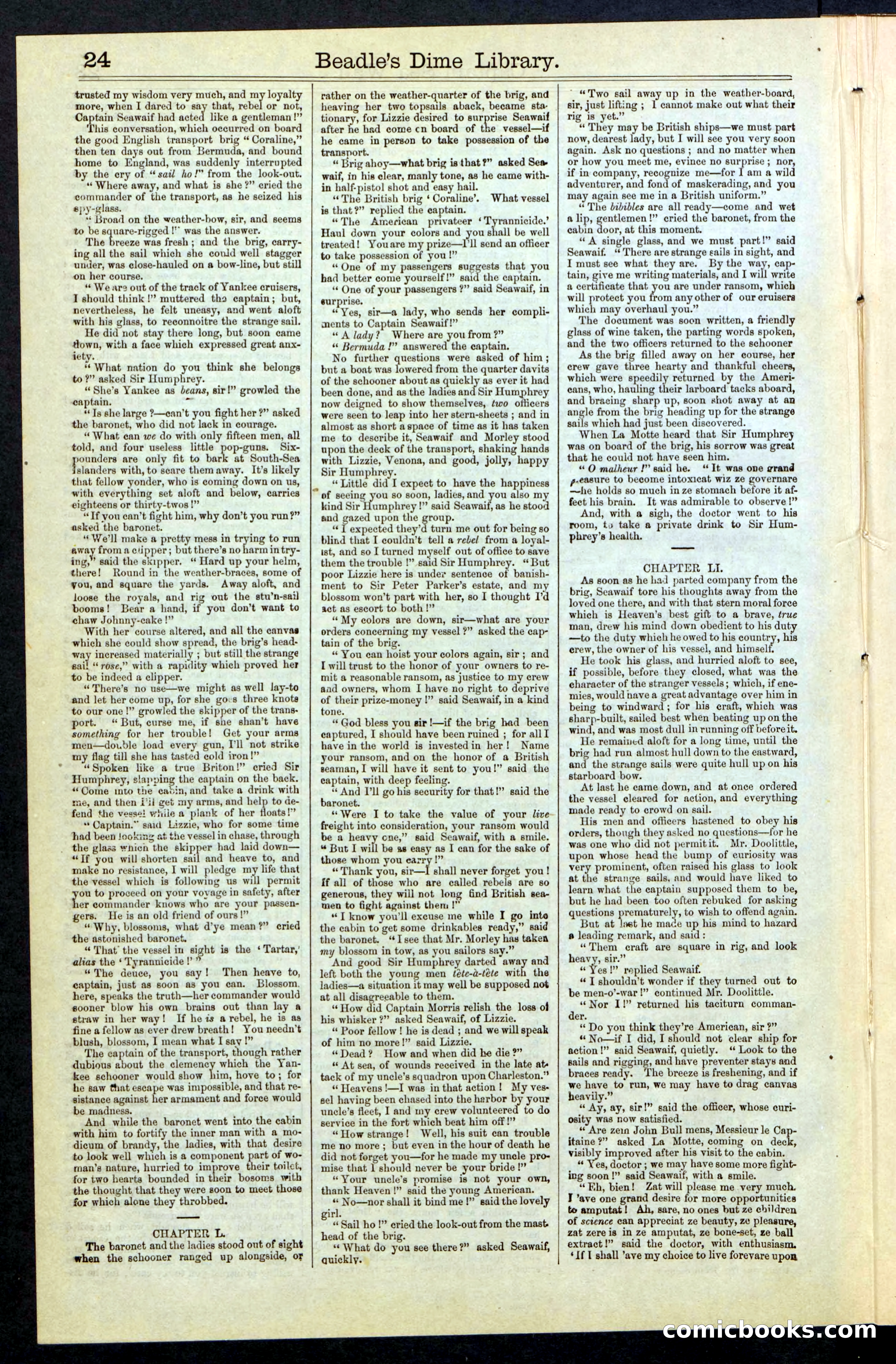 Beadle's New York Dime Library No. 61 — page 24 of 48