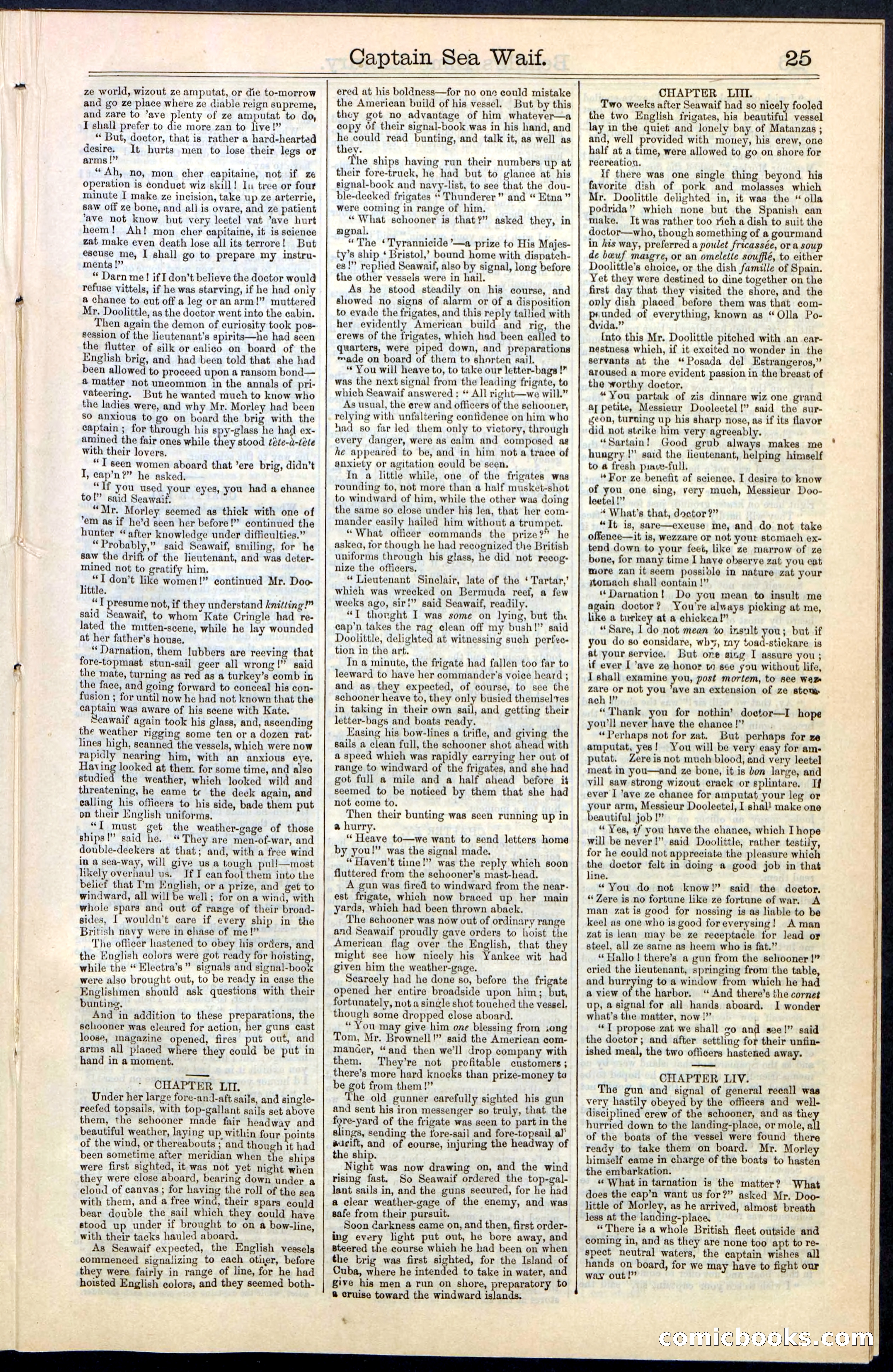 Beadle's New York Dime Library No. 61 — page 25 of 48