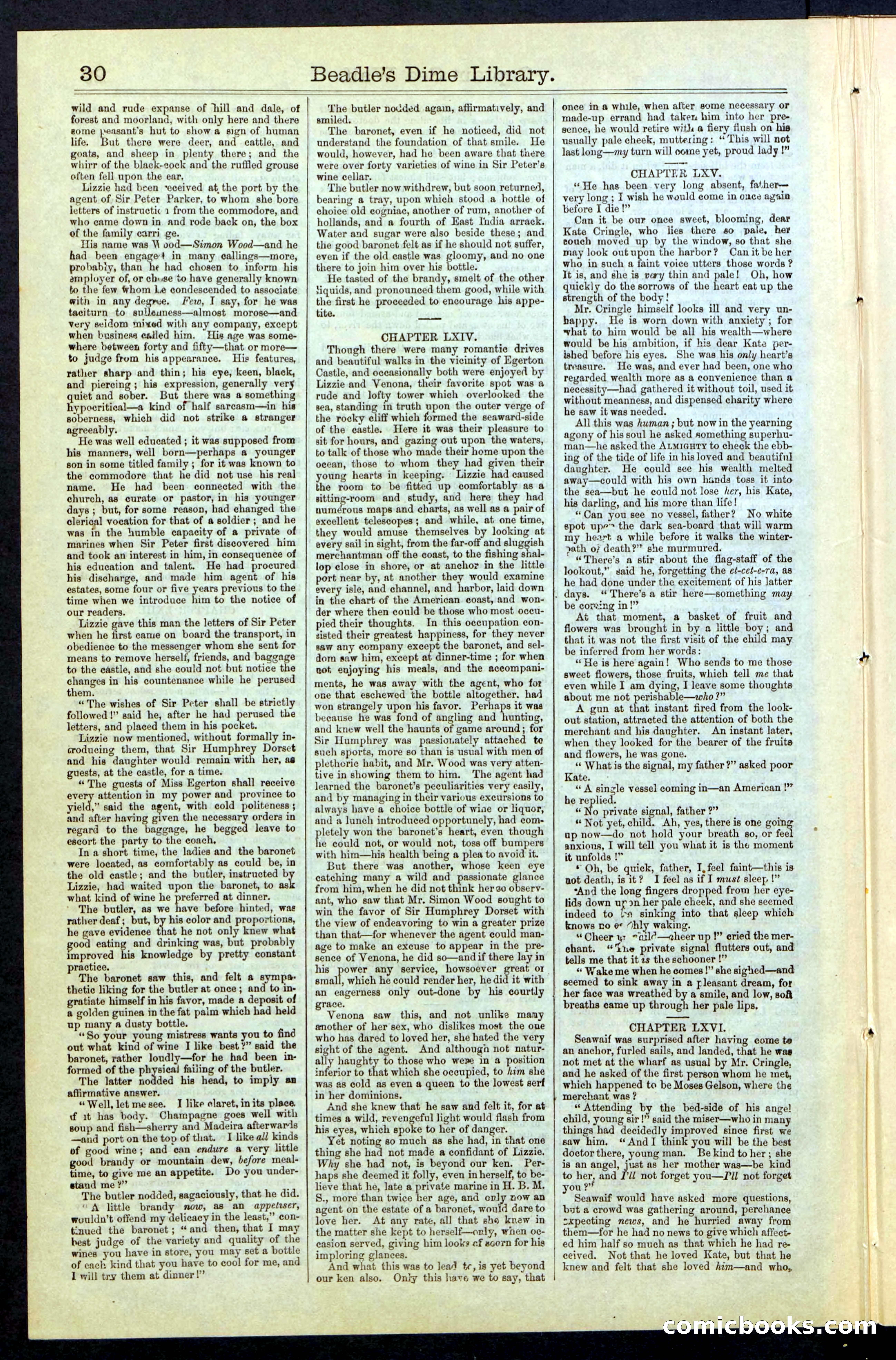 Beadle's New York Dime Library No. 61 — page 30 of 48