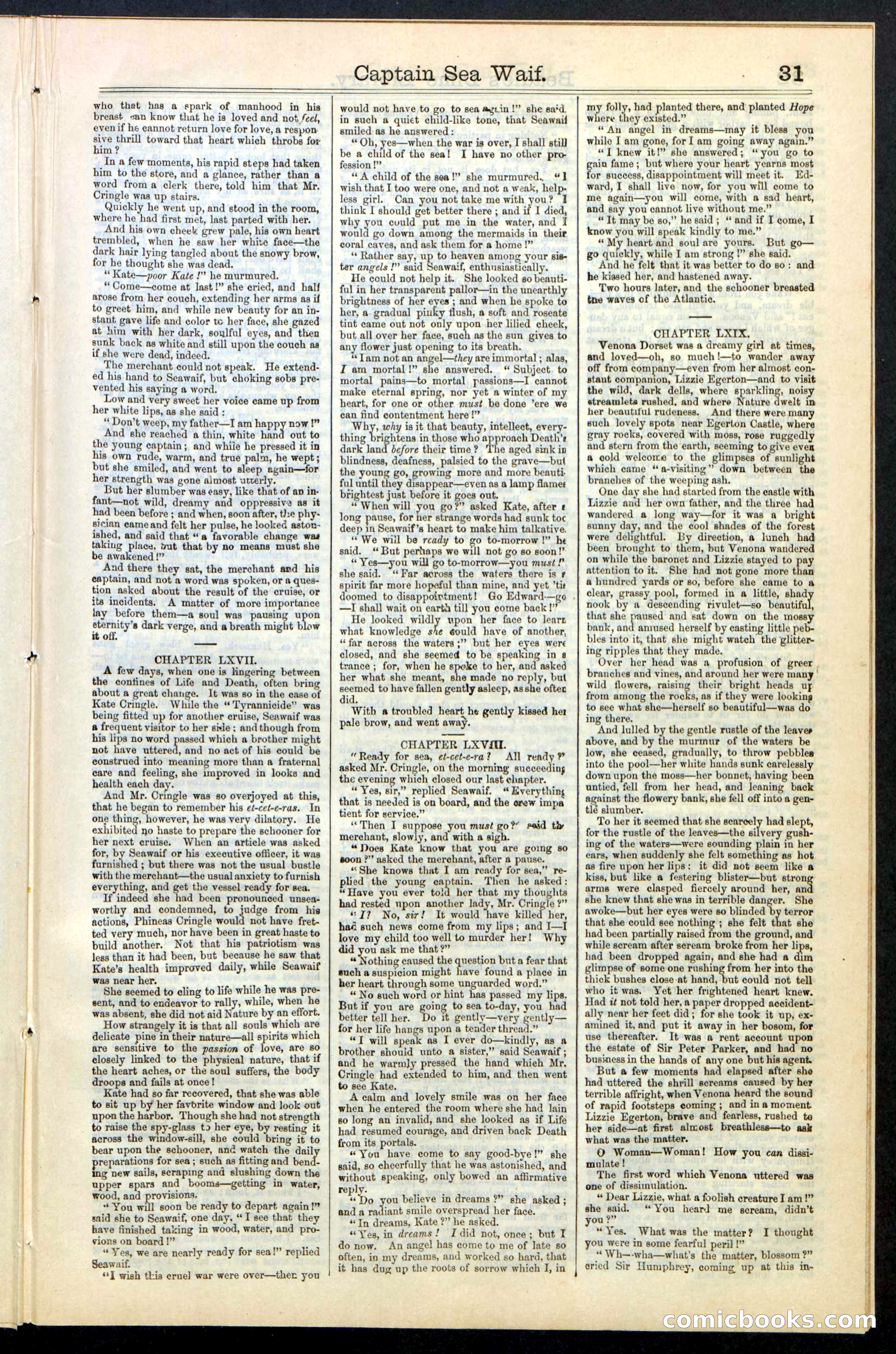 Beadle's New York Dime Library No. 61 — page 31 of 48