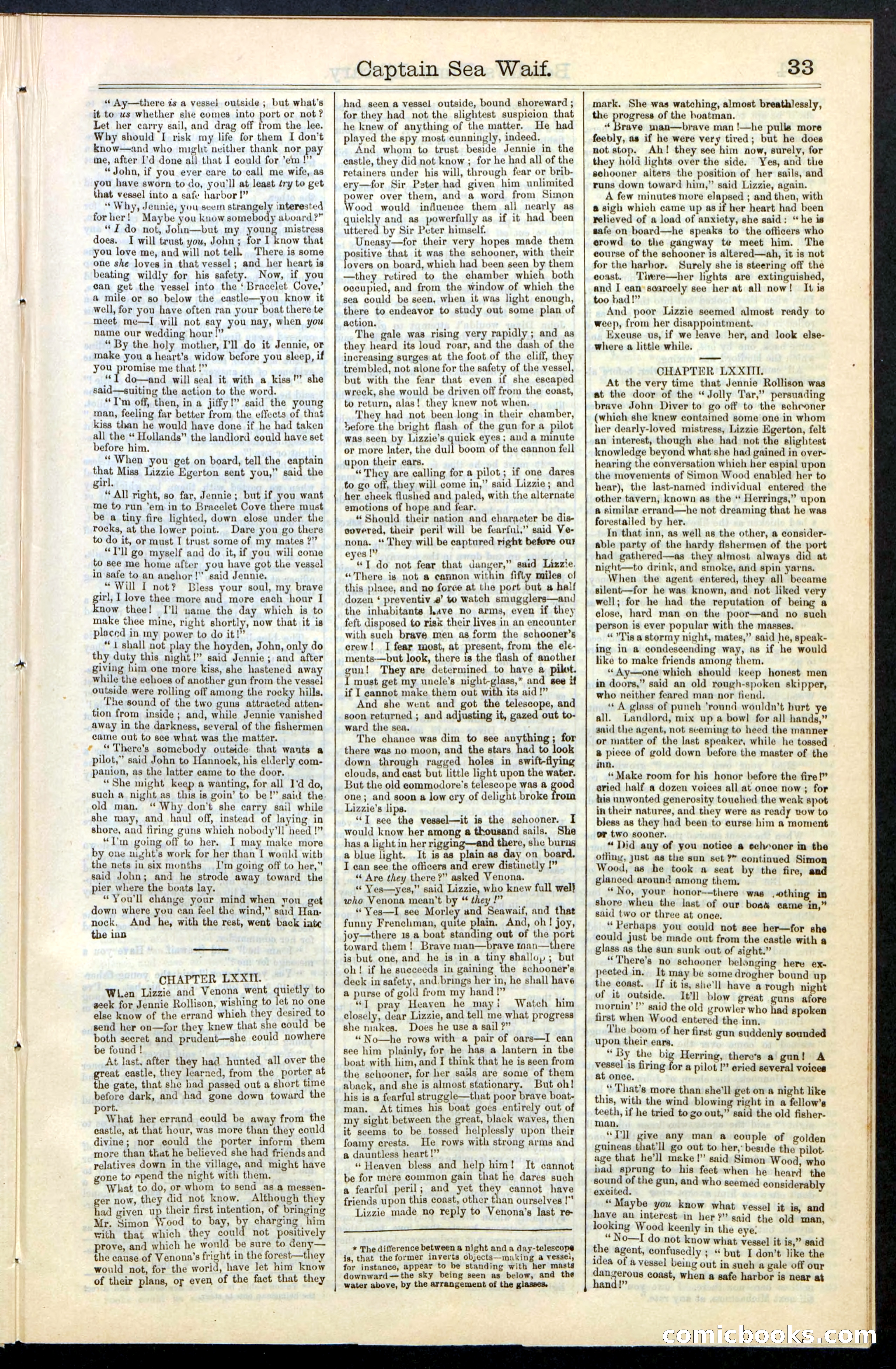 Beadle's New York Dime Library No. 61 — page 33 of 48