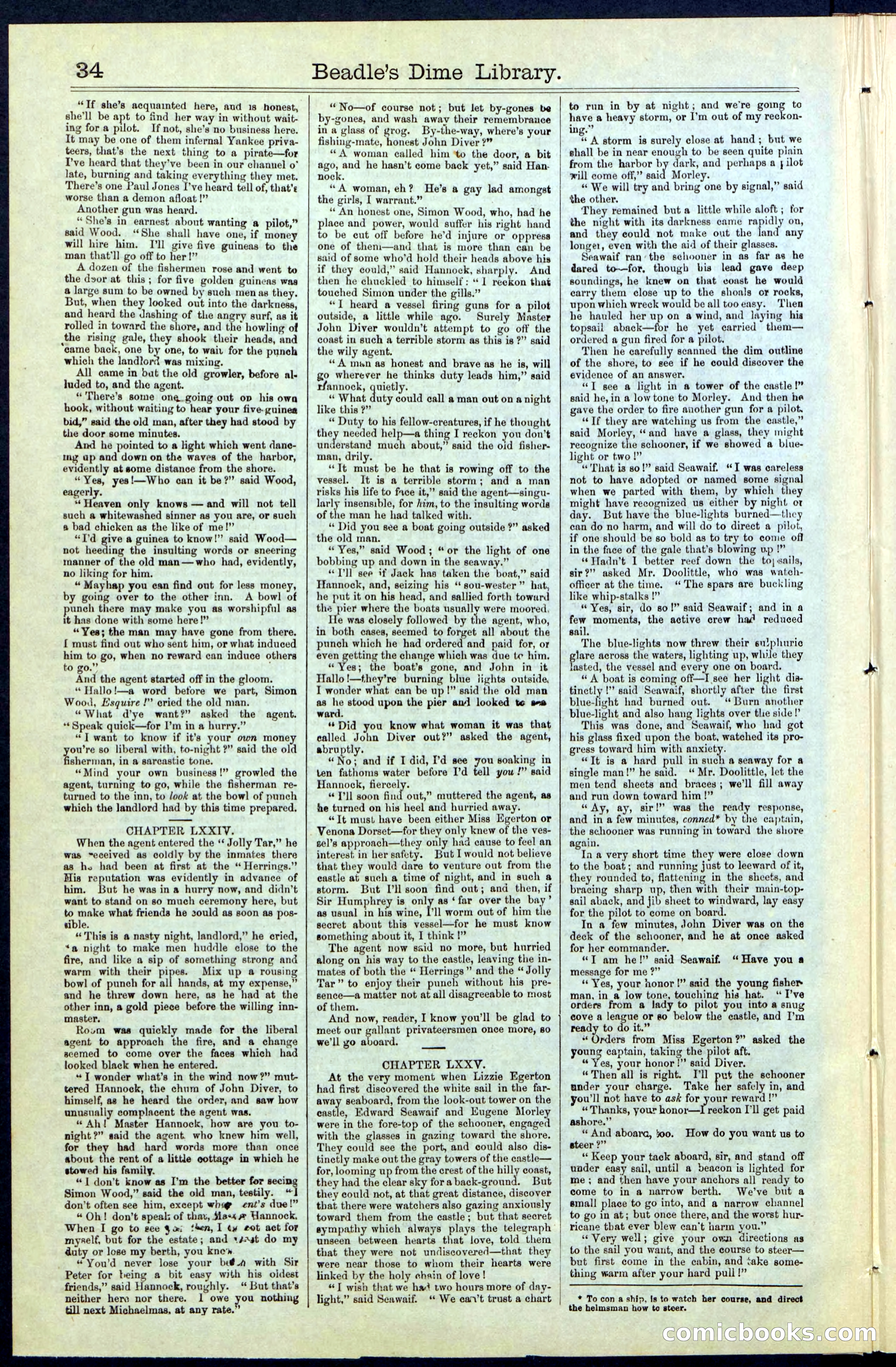 Beadle's New York Dime Library No. 61 — page 34 of 48