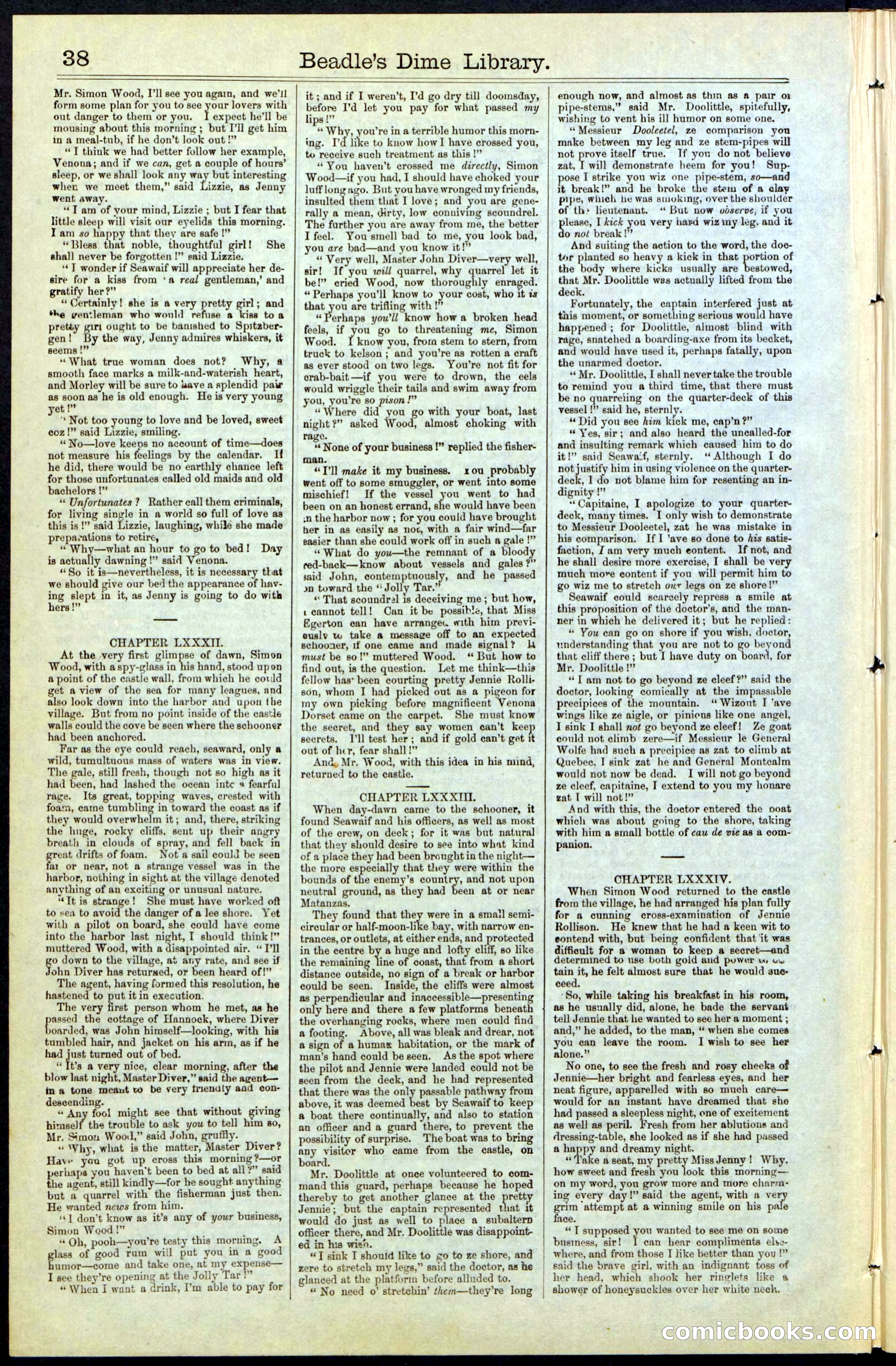 Beadle's New York Dime Library No. 61 — page 38 of 48