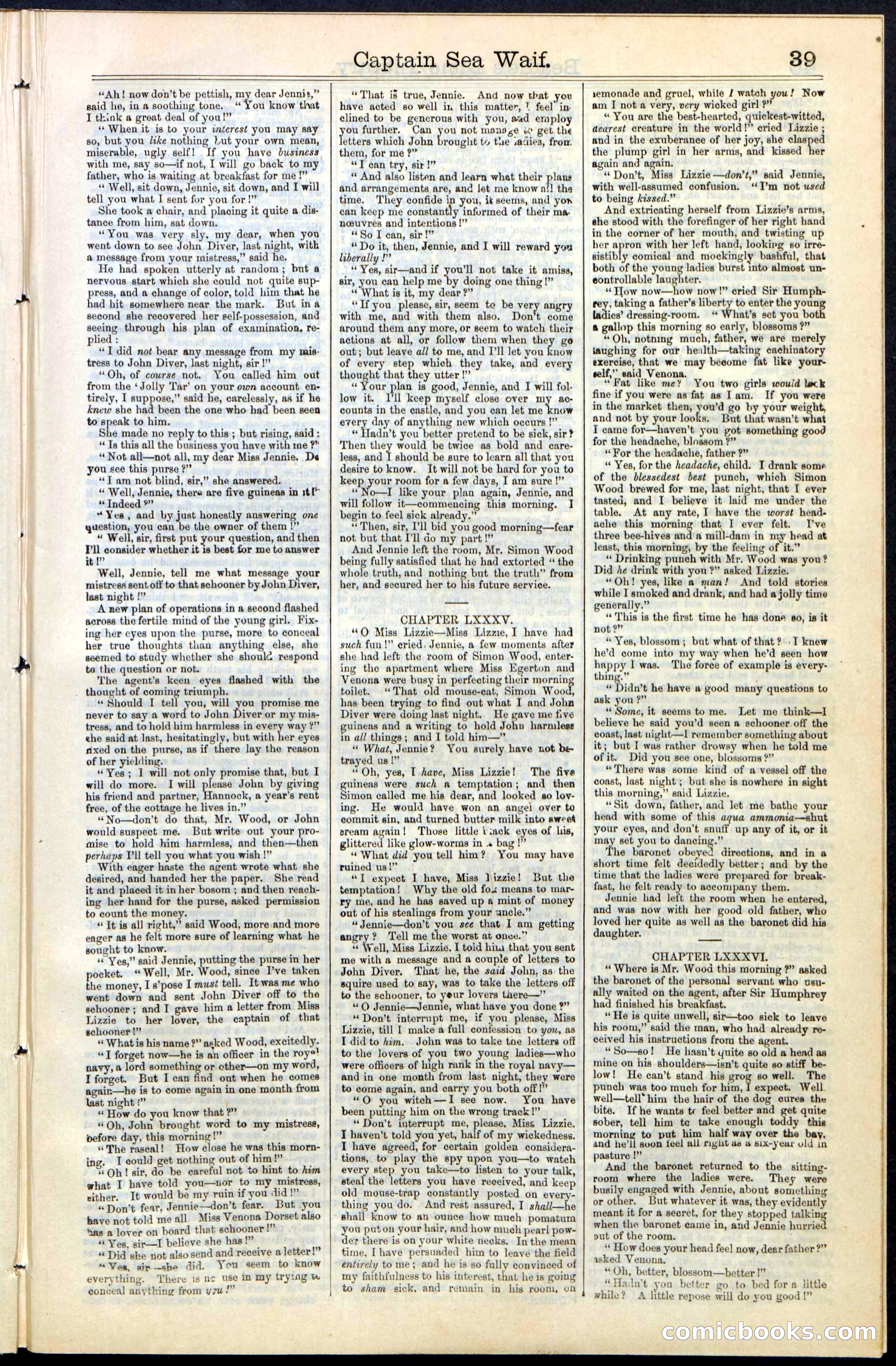 Beadle's New York Dime Library No. 61 — page 39 of 48