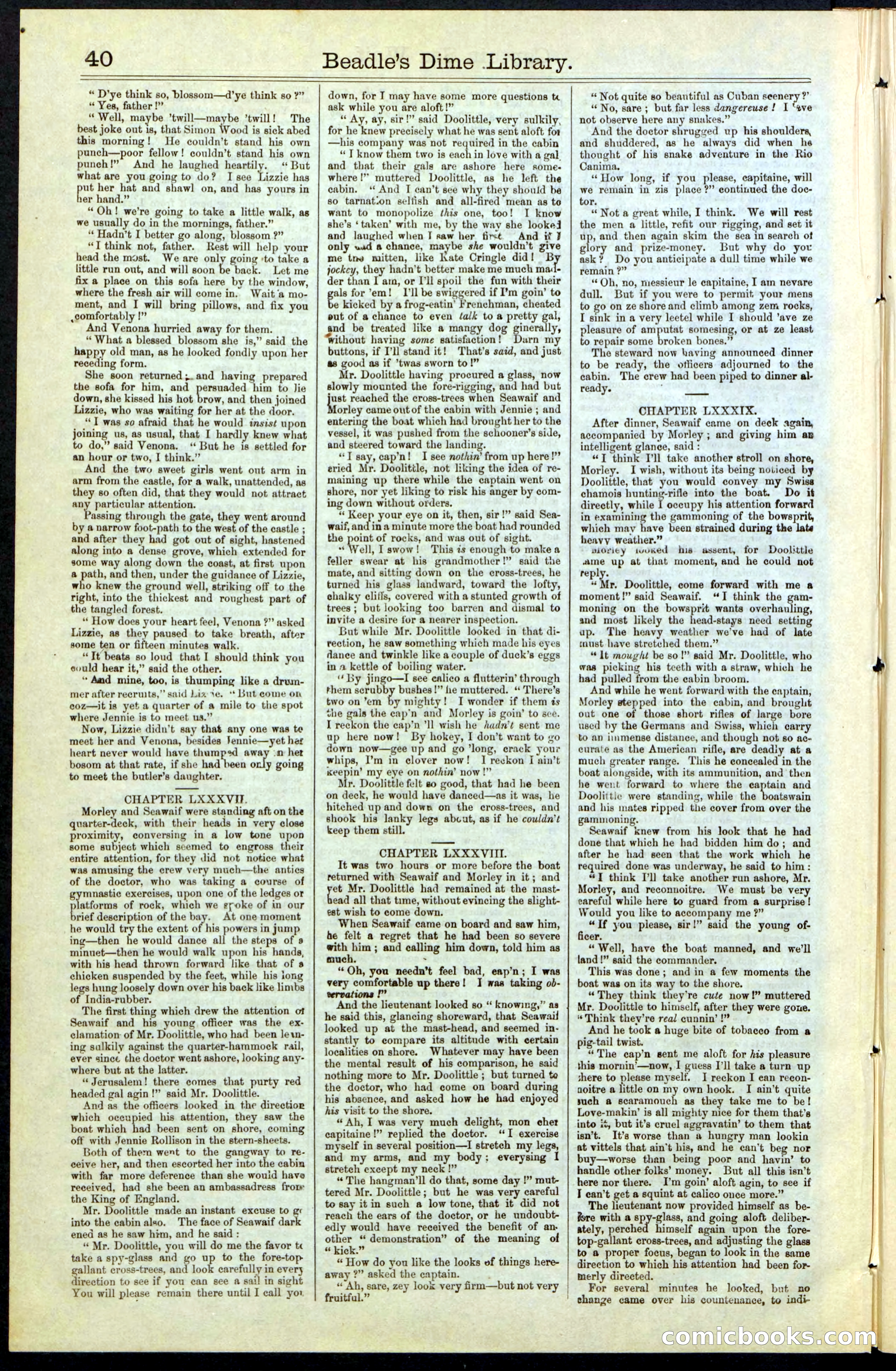 Beadle's New York Dime Library No. 61 — page 40 of 48