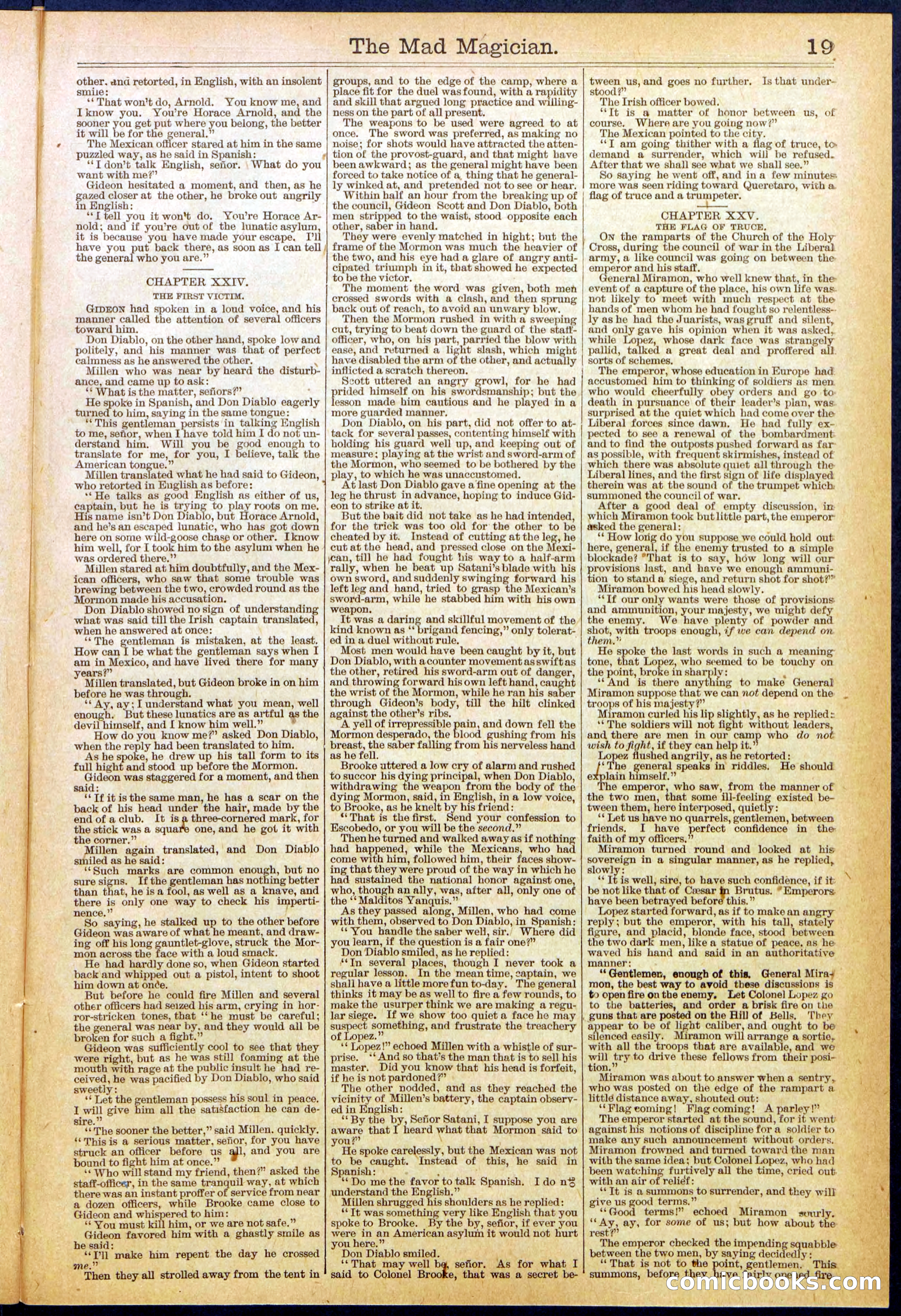 Beadle's New York Dime Library No. 614 — page 19 of 32