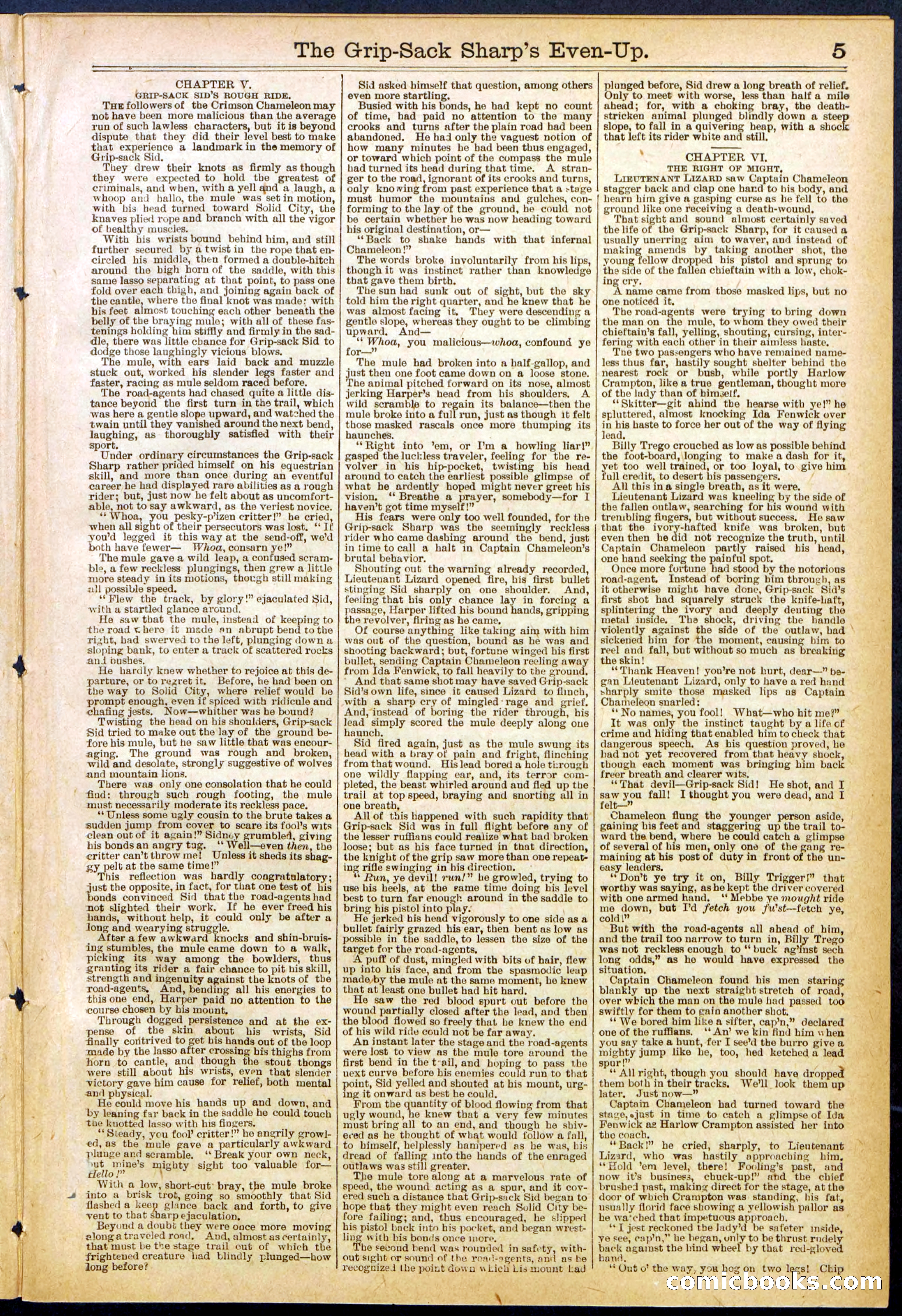 Beadle's New York Dime Library No. 617 — page 5 of 32