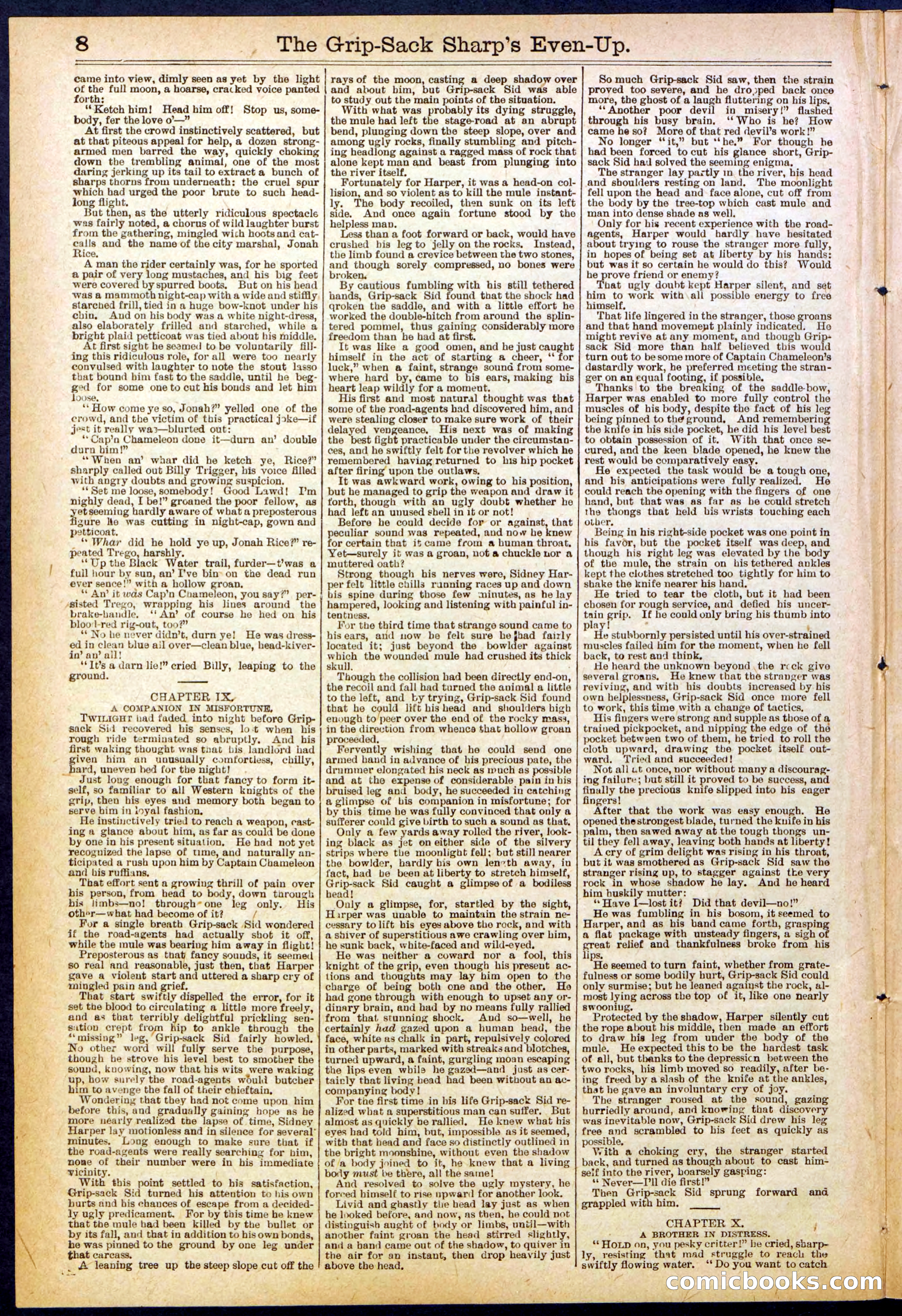 Beadle's New York Dime Library No. 617 — page 8 of 32