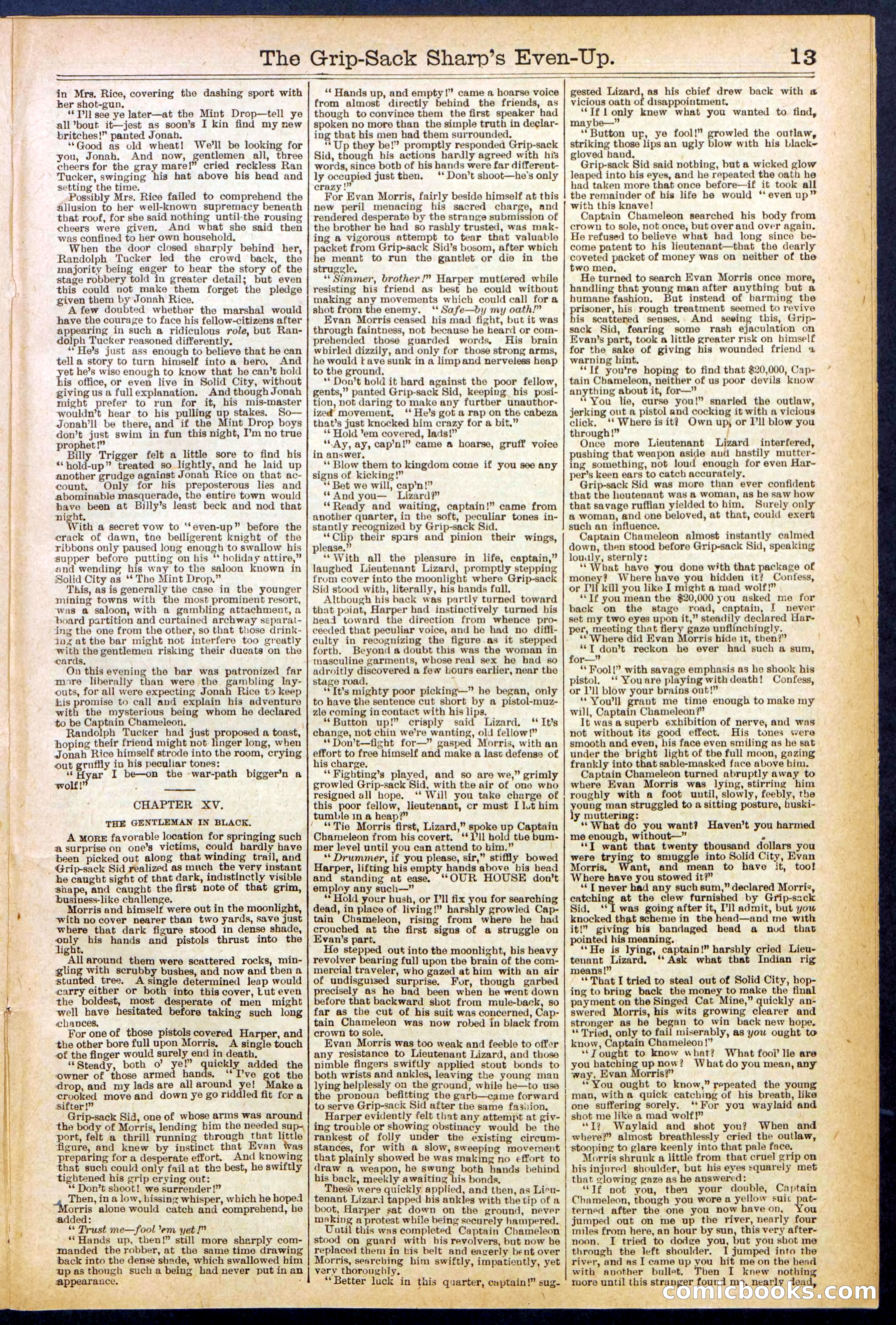 Beadle's New York Dime Library No. 617 — page 13 of 32