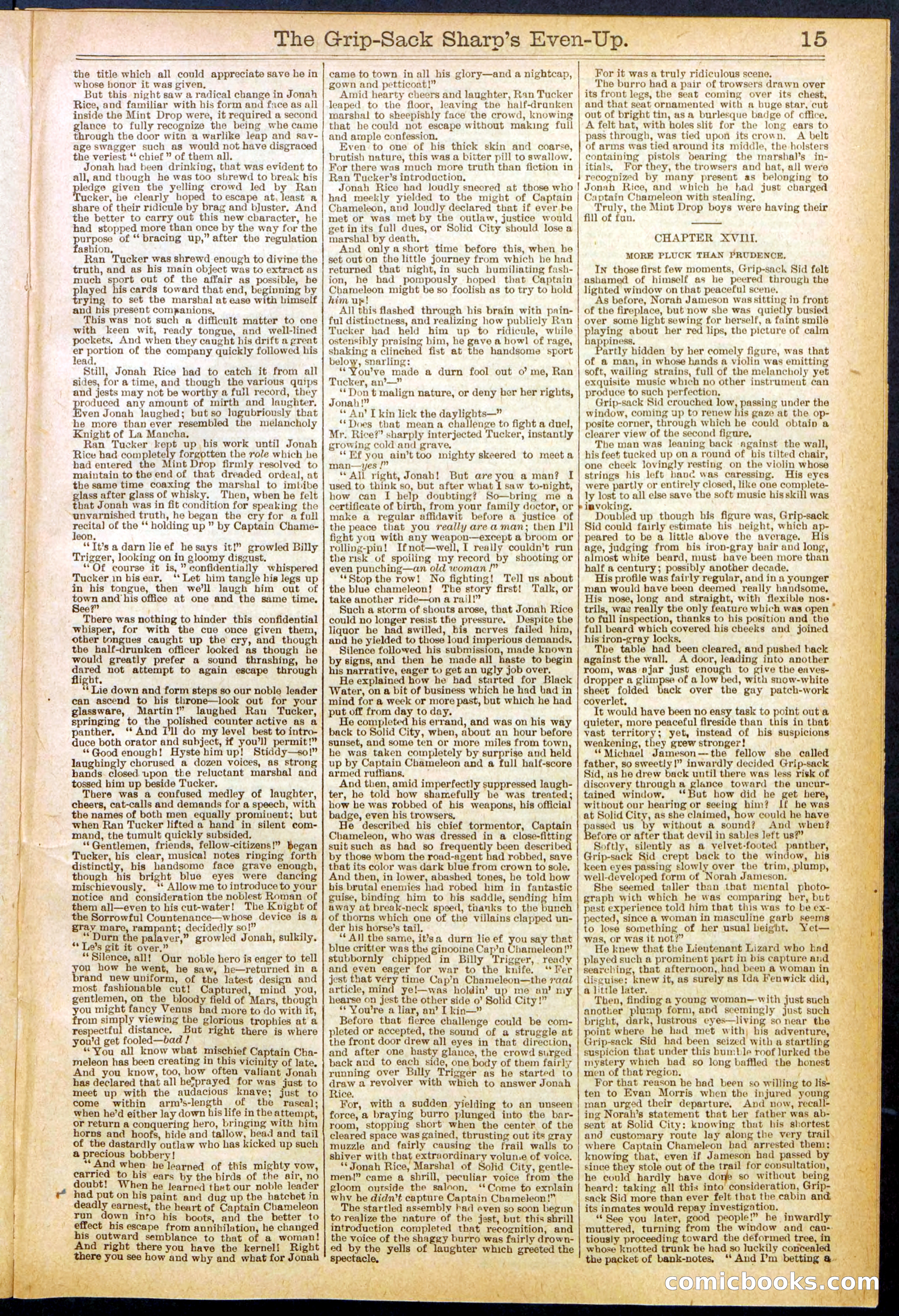 Beadle's New York Dime Library No. 617 — page 15 of 32