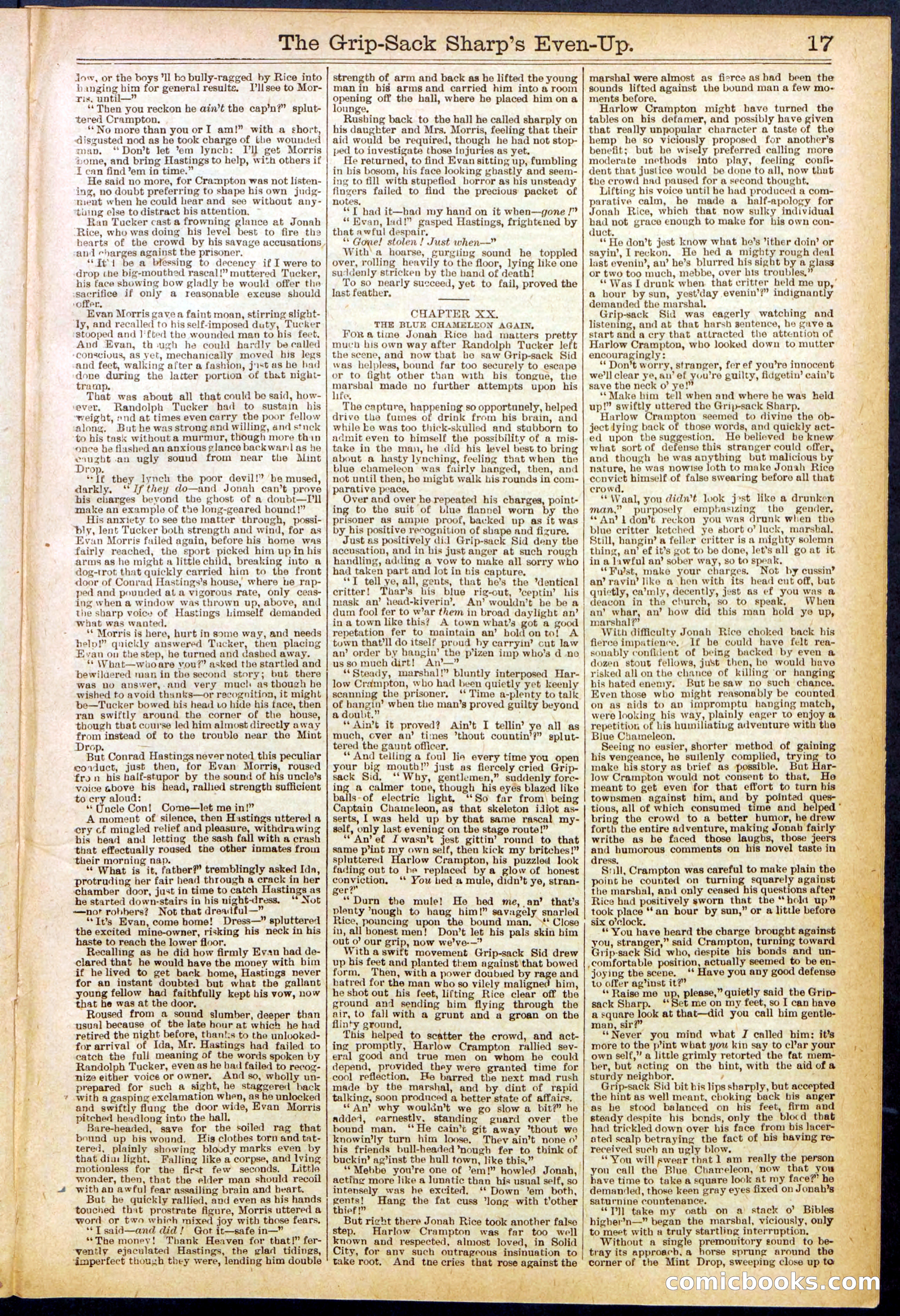 Beadle's New York Dime Library No. 617 — page 17 of 32
