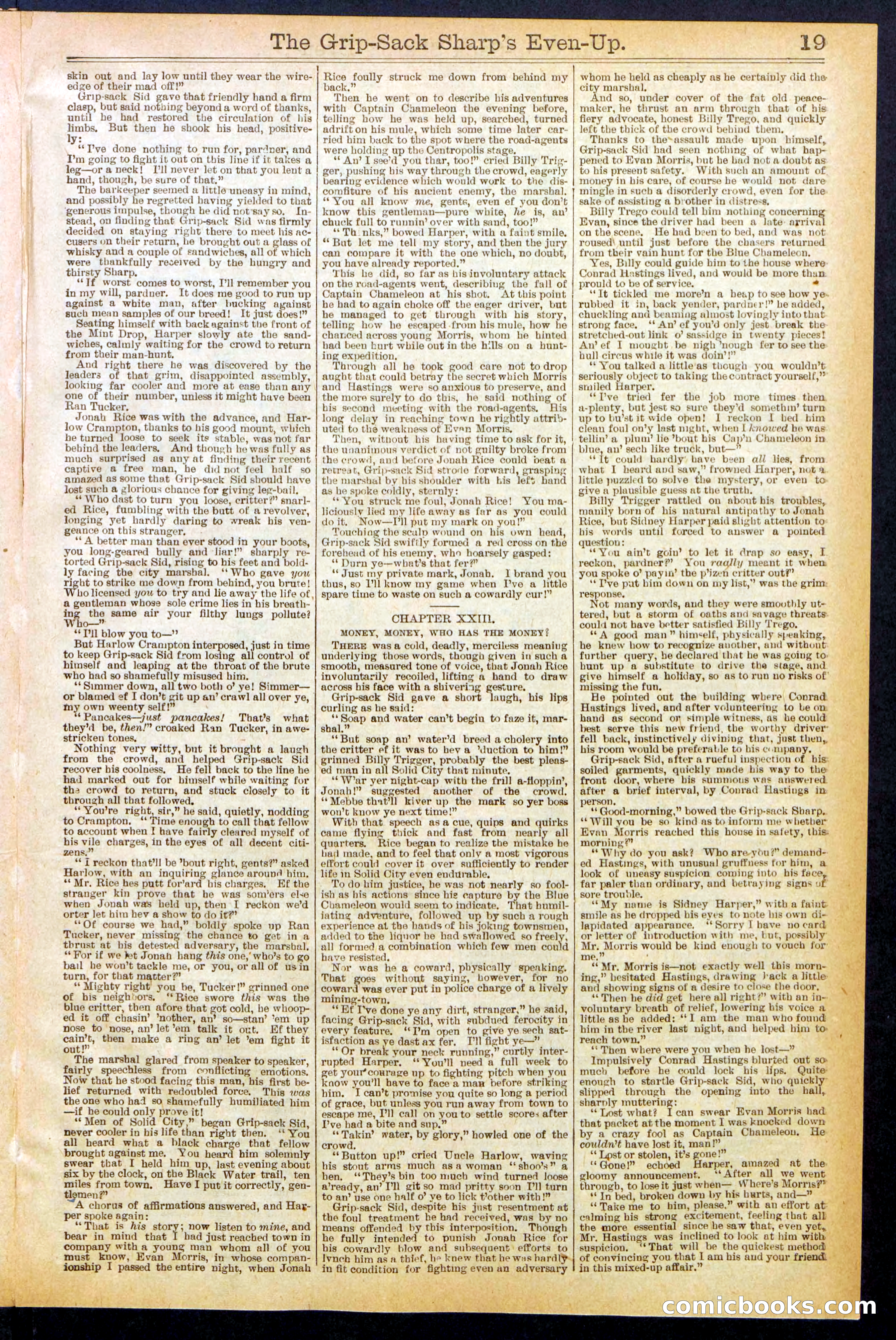 Beadle's New York Dime Library No. 617 — page 19 of 32