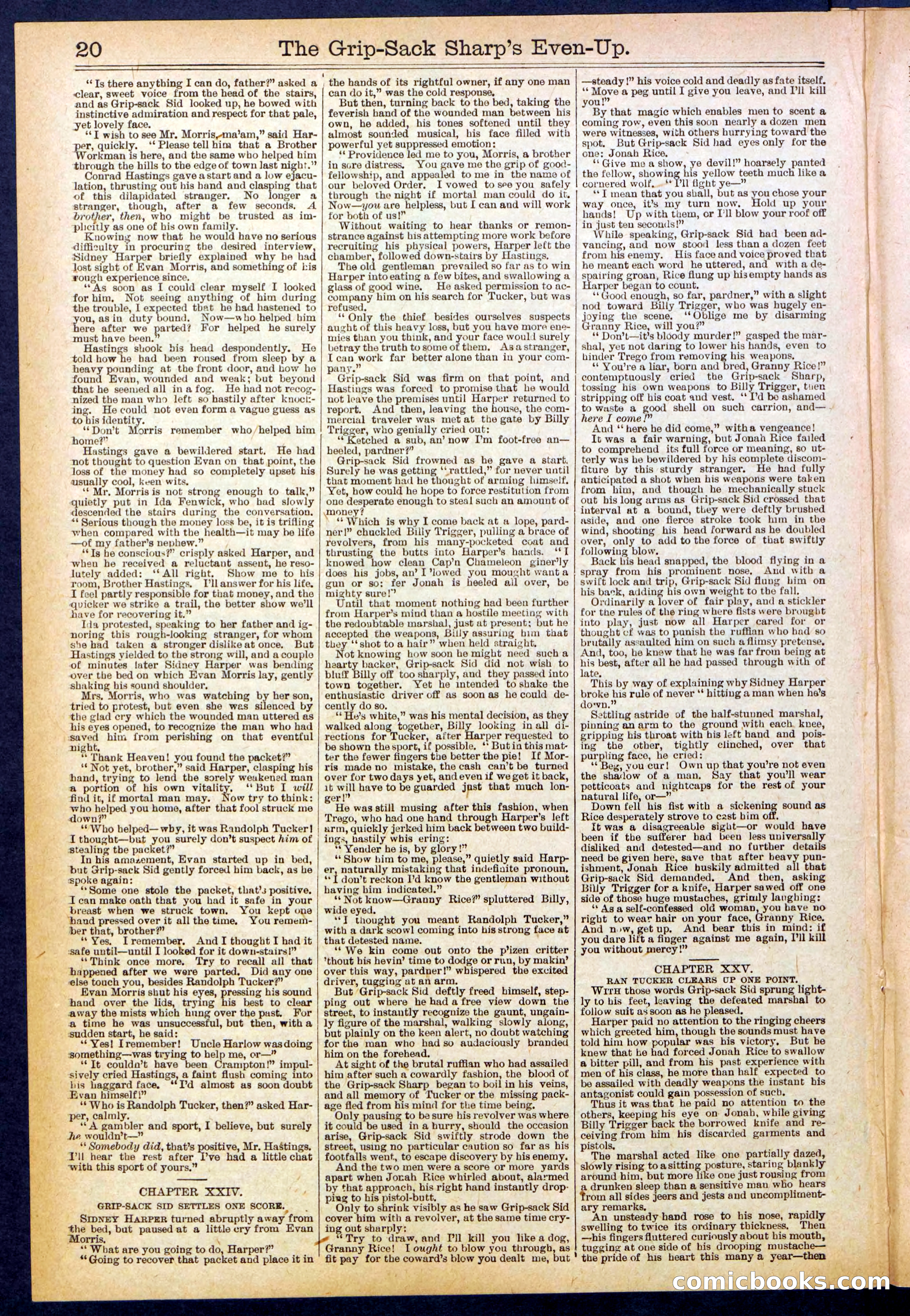 Beadle's New York Dime Library No. 617 — page 20 of 32
