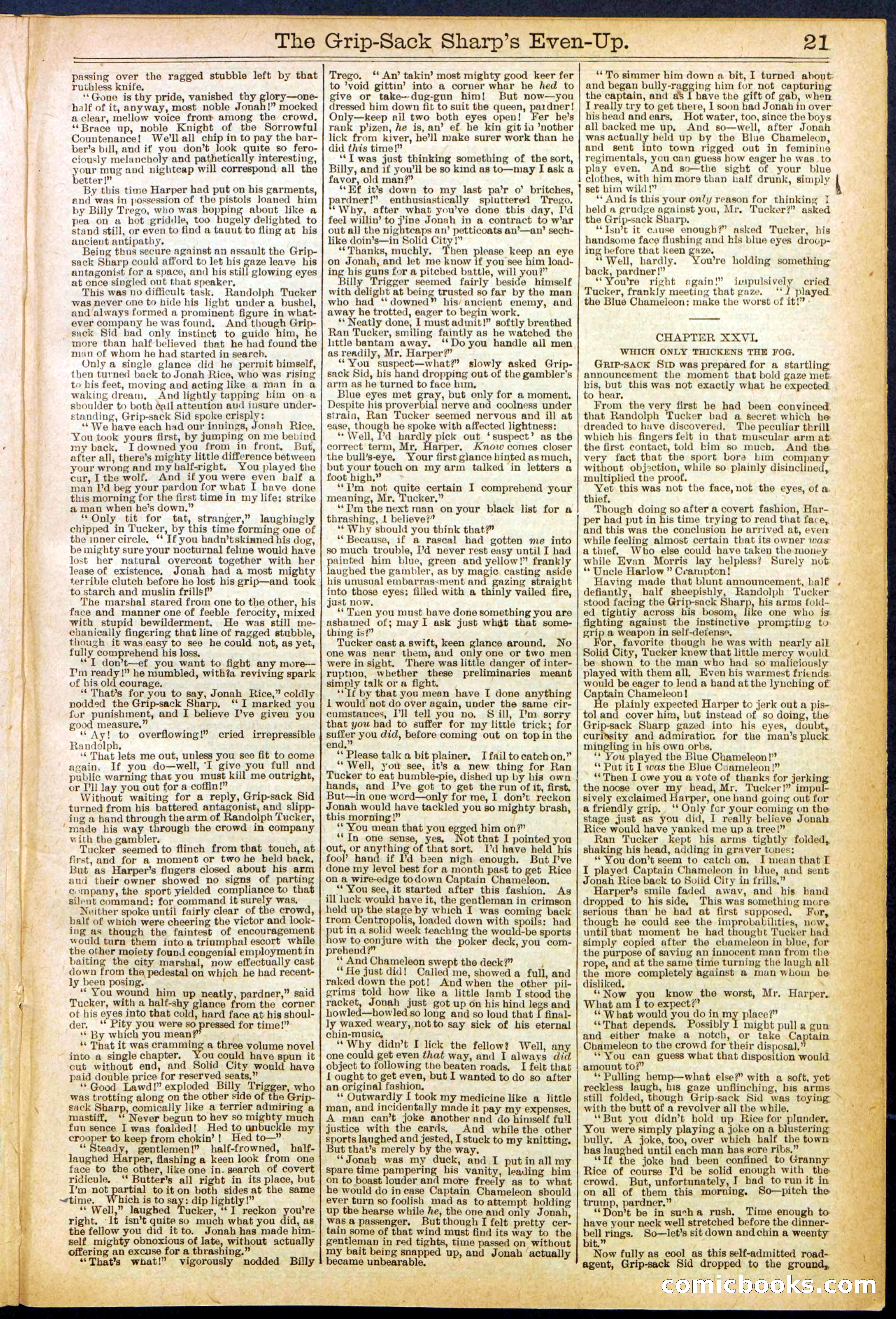 Beadle's New York Dime Library No. 617 — page 21 of 32