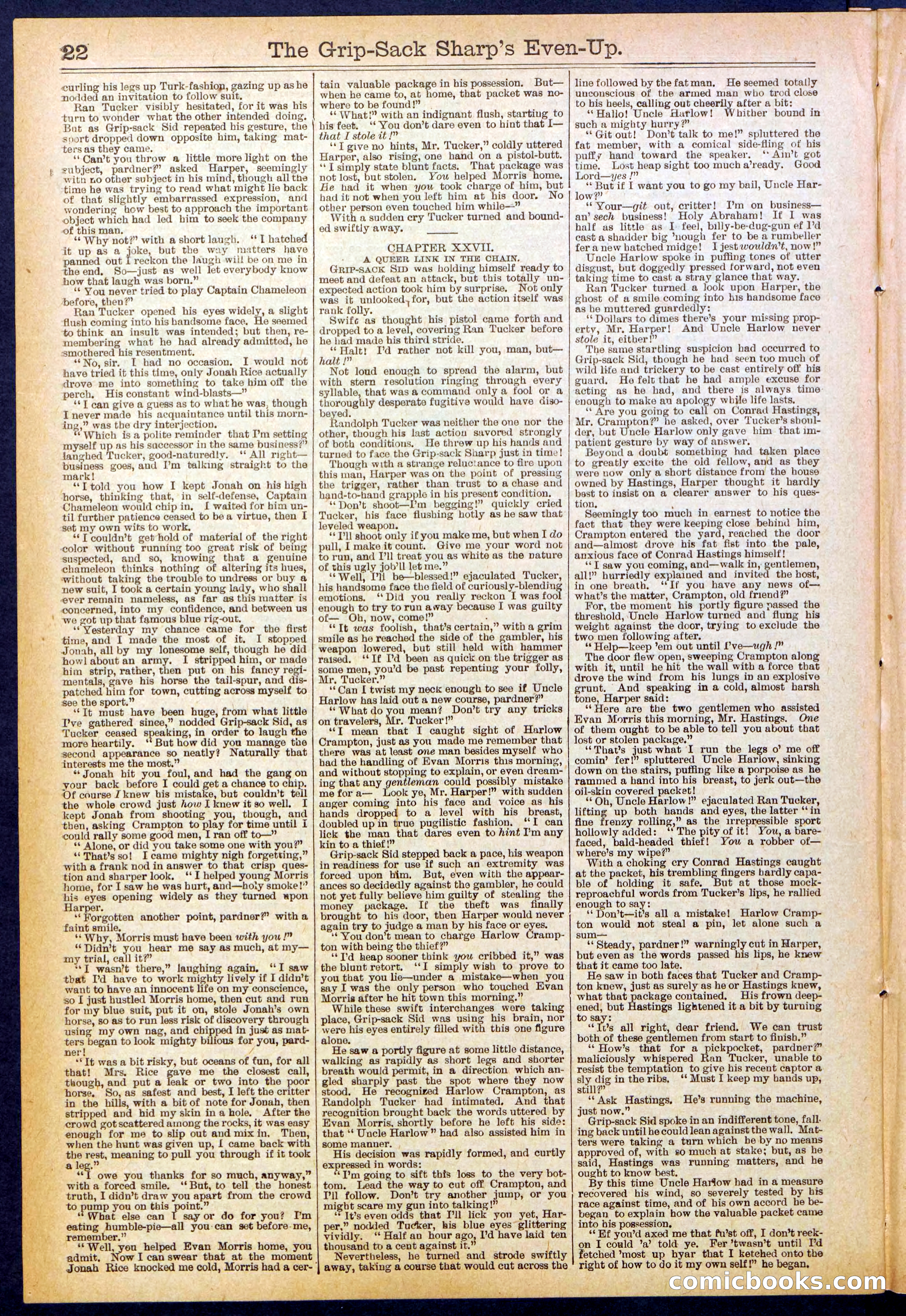 Beadle's New York Dime Library No. 617 — page 22 of 32