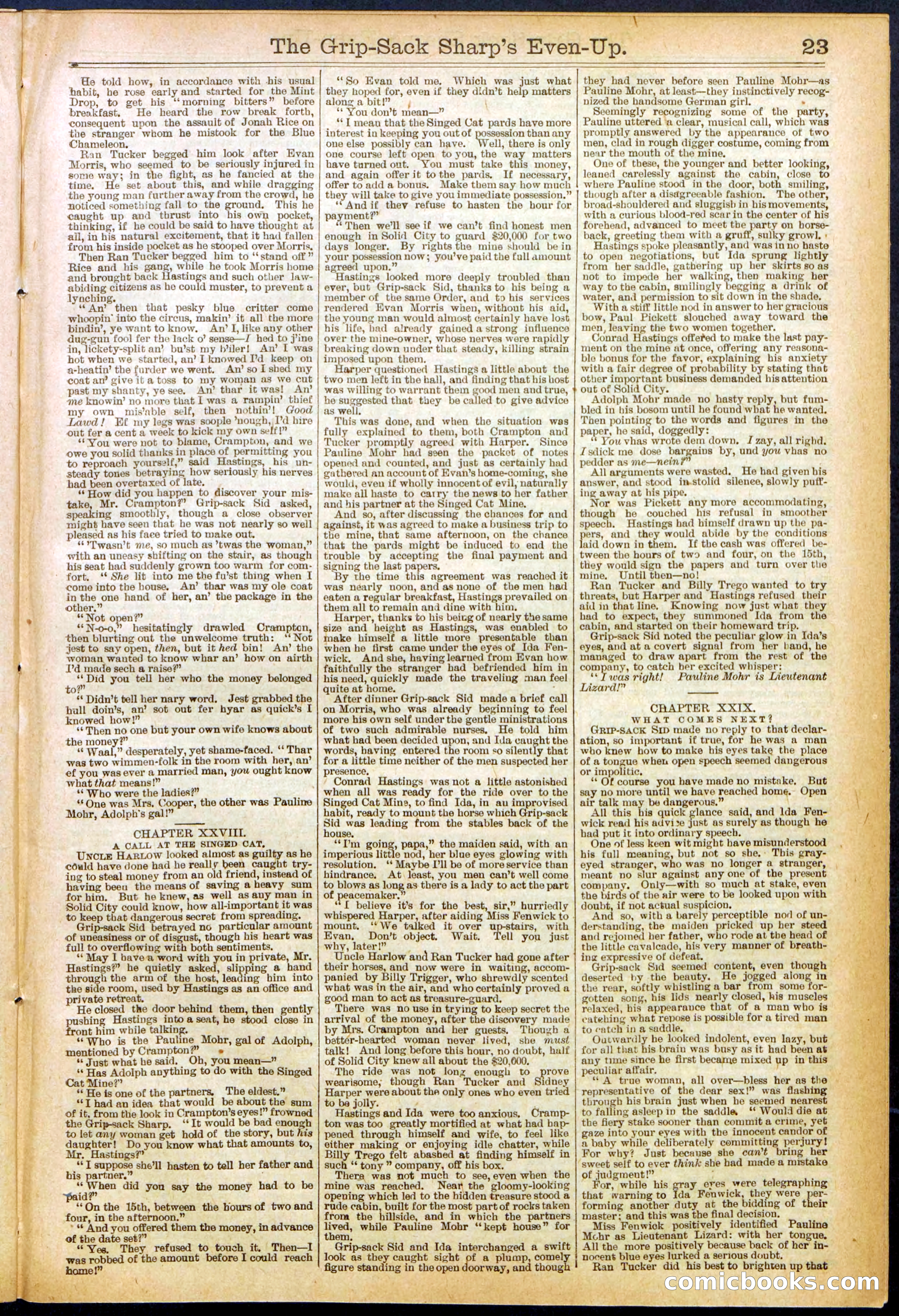 Beadle's New York Dime Library No. 617 — page 23 of 32
