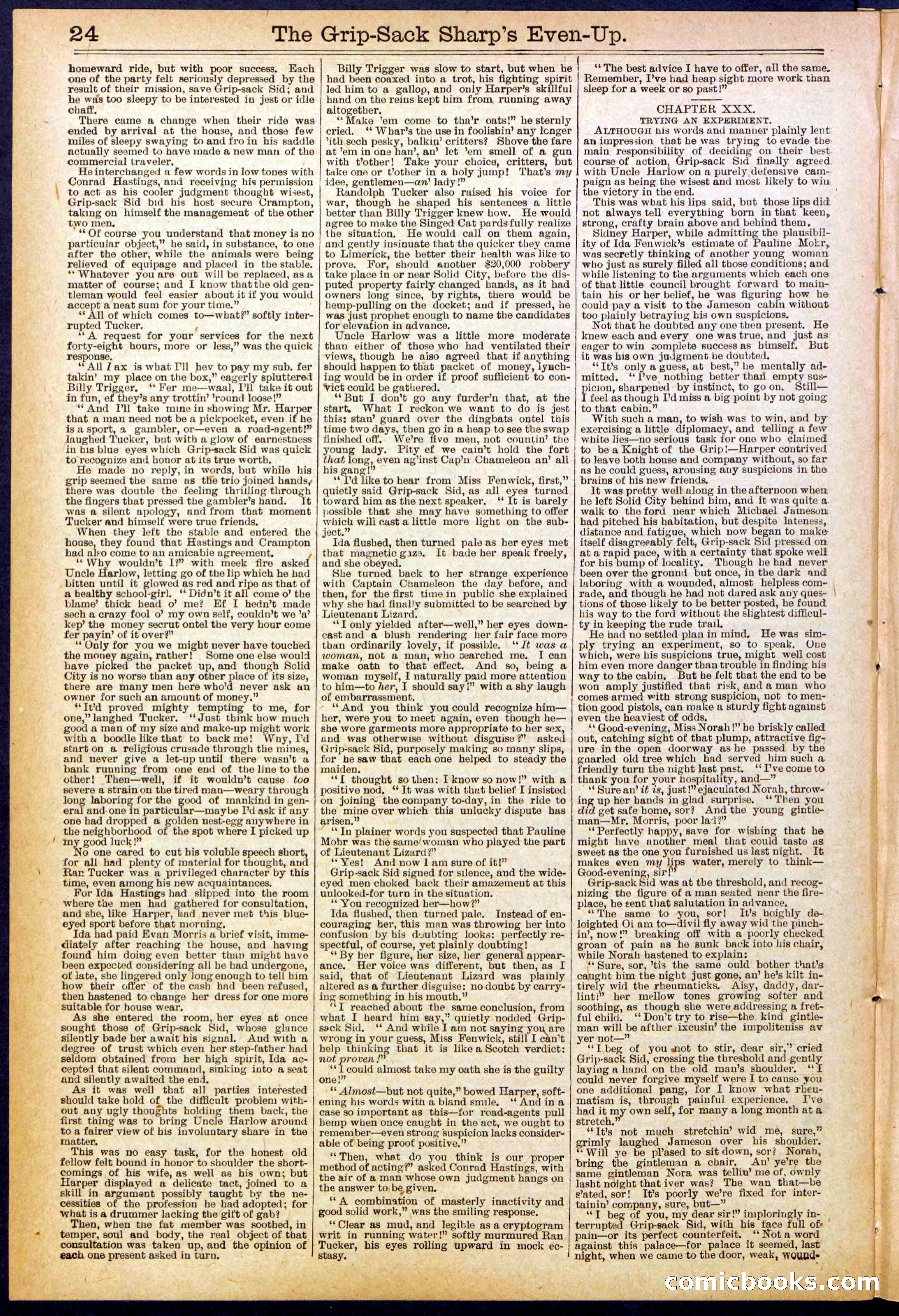 Beadle's New York Dime Library No. 617 — page 24 of 32