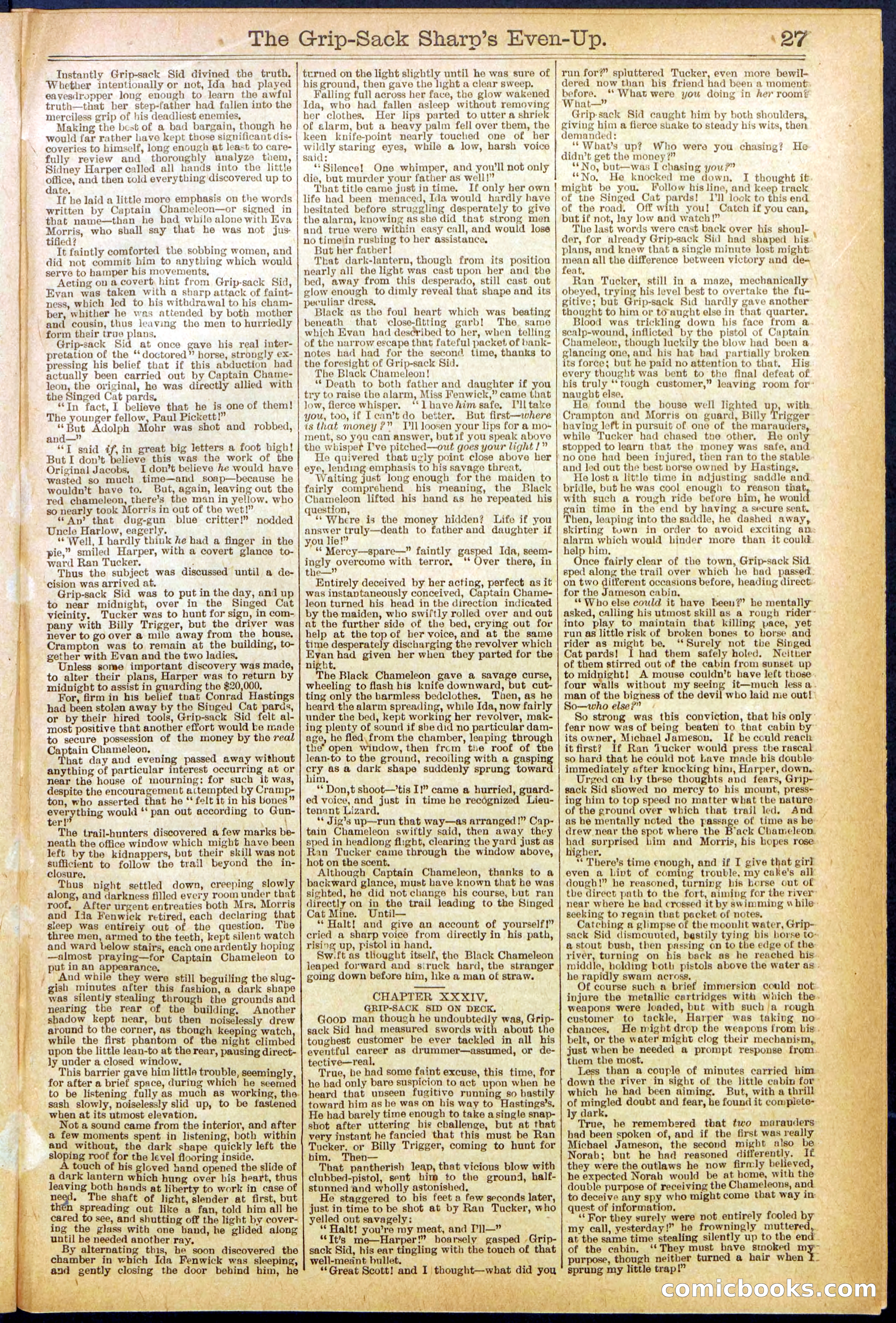 Beadle's New York Dime Library No. 617 — page 27 of 32